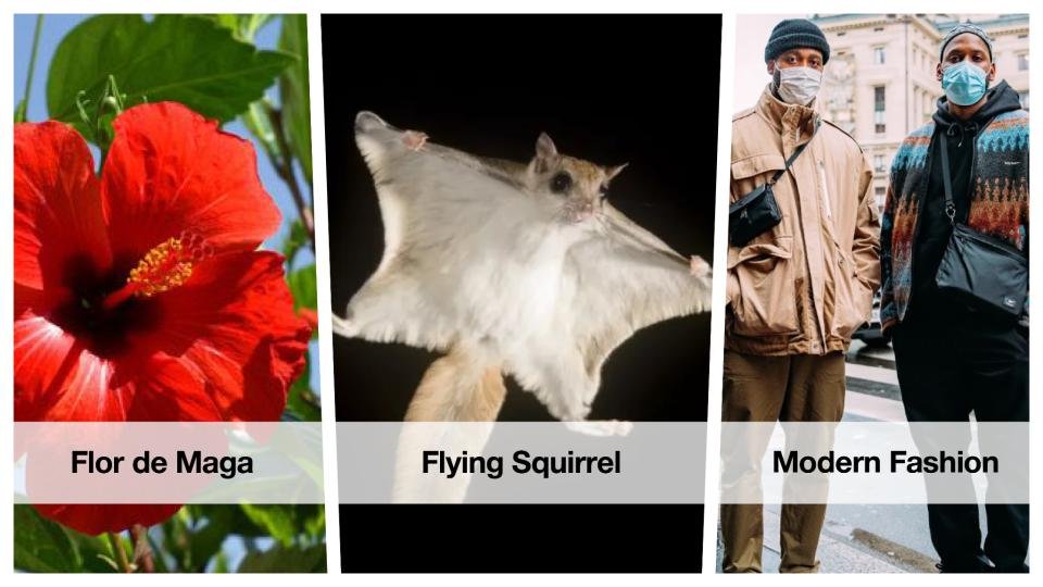 RobertoNBProject (11).jpg