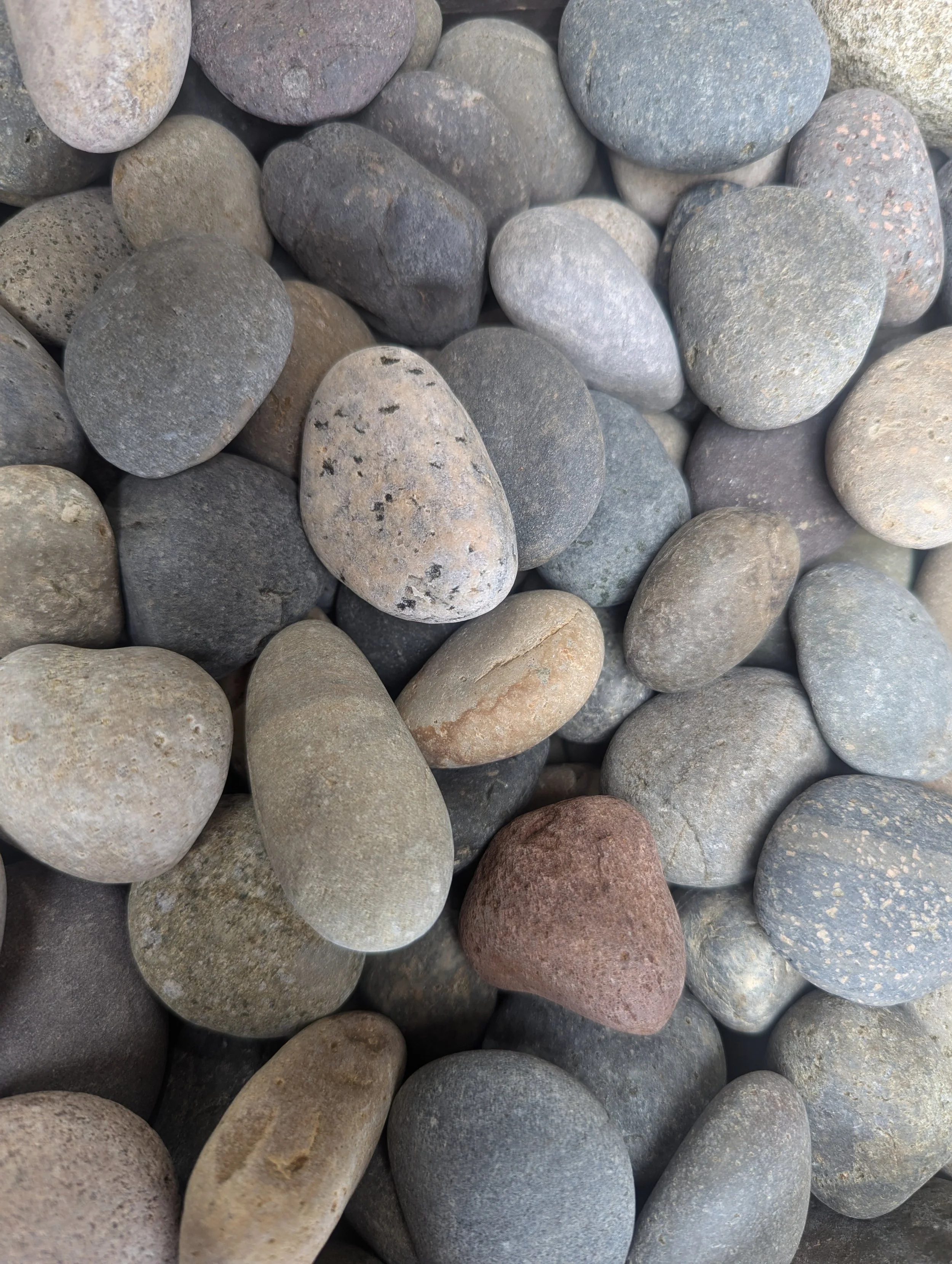 Acapulco Rocks - Contact Us — Acapulco Rock and Soil Topsoil and Gravel ...