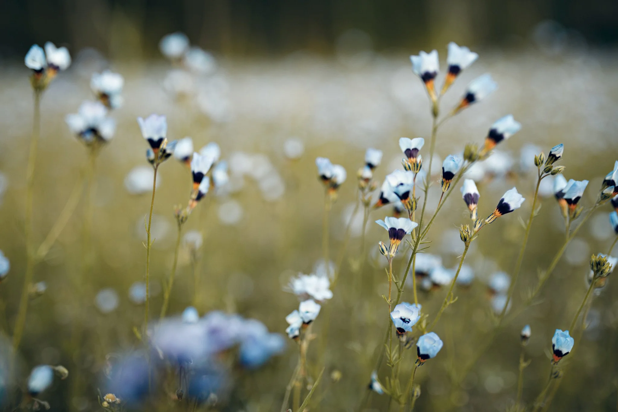 outdoor-portret-shoot-tilburg-fotograaf-tilburg-mwhomik 13.jpg