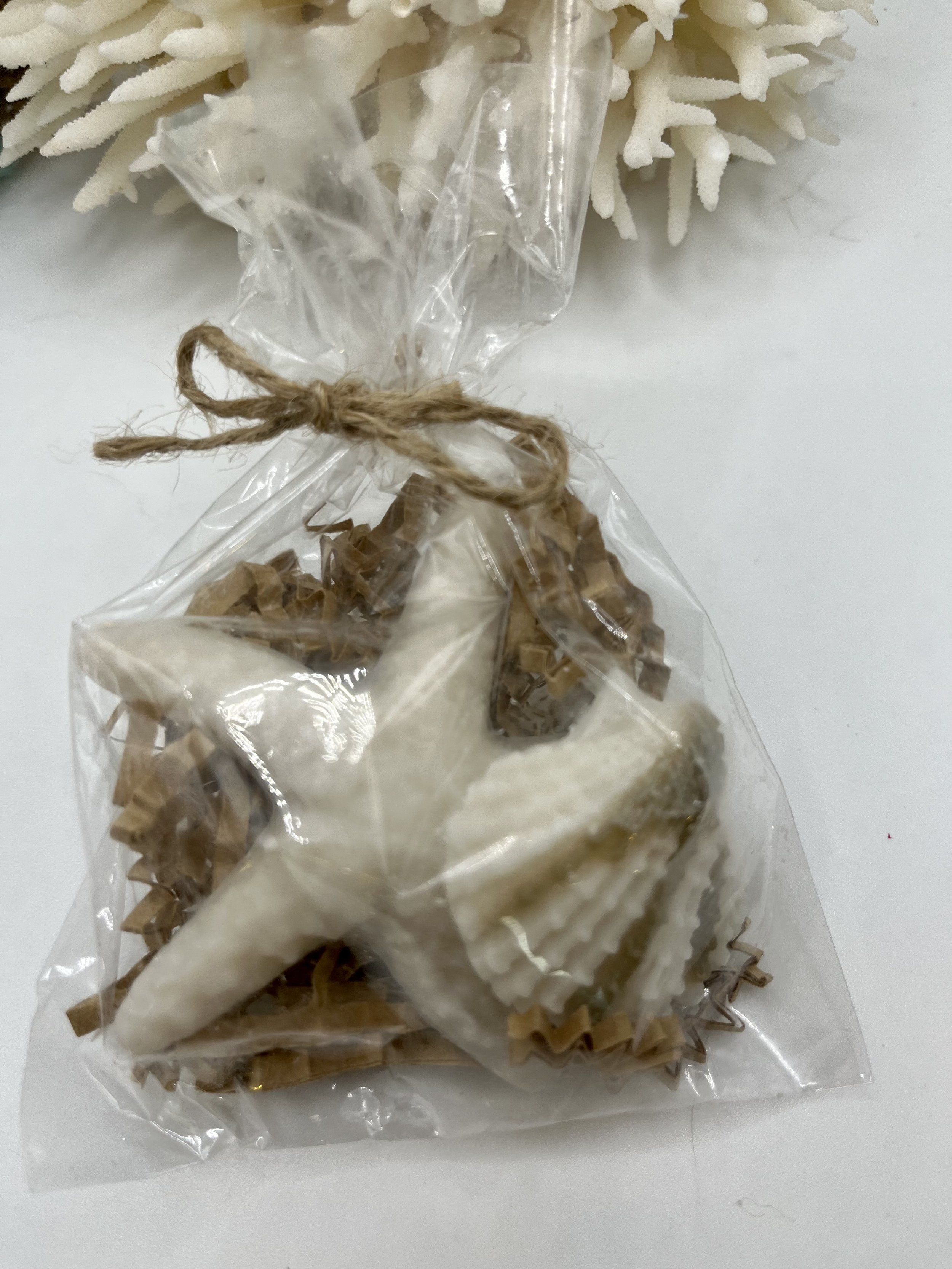seashell2.jpg