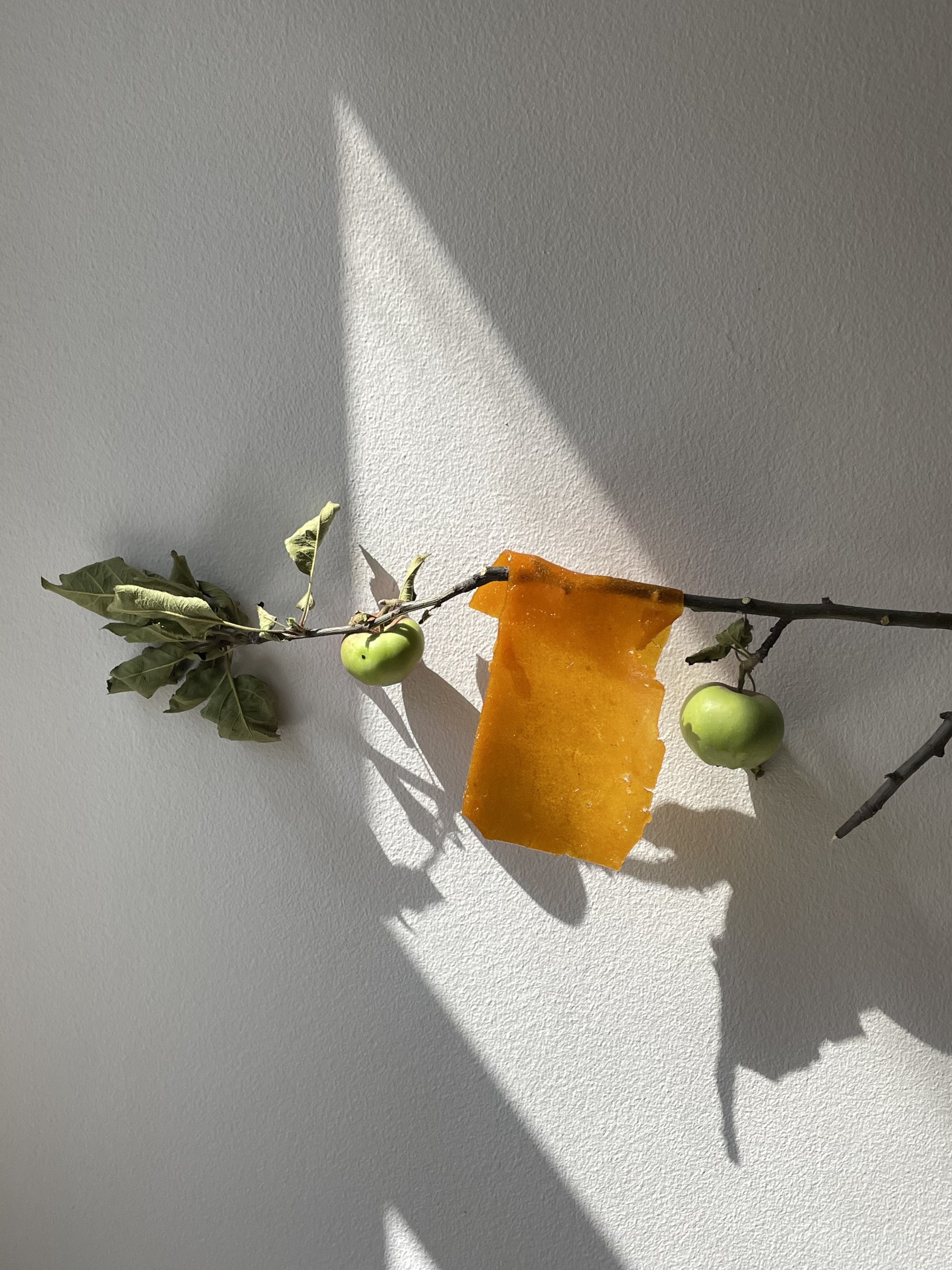 safarchand papad.JPG