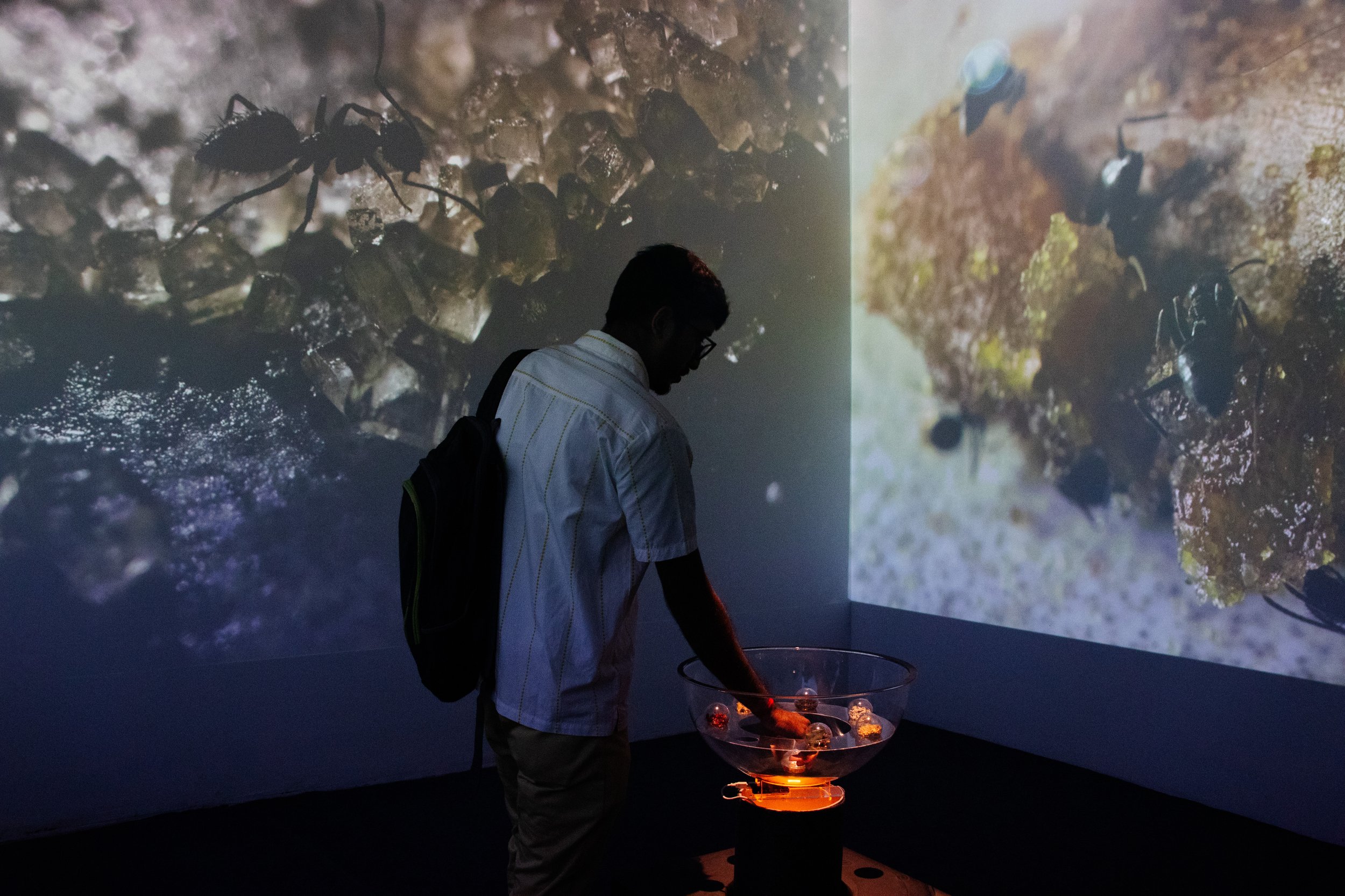 Priya Mani_Food installation