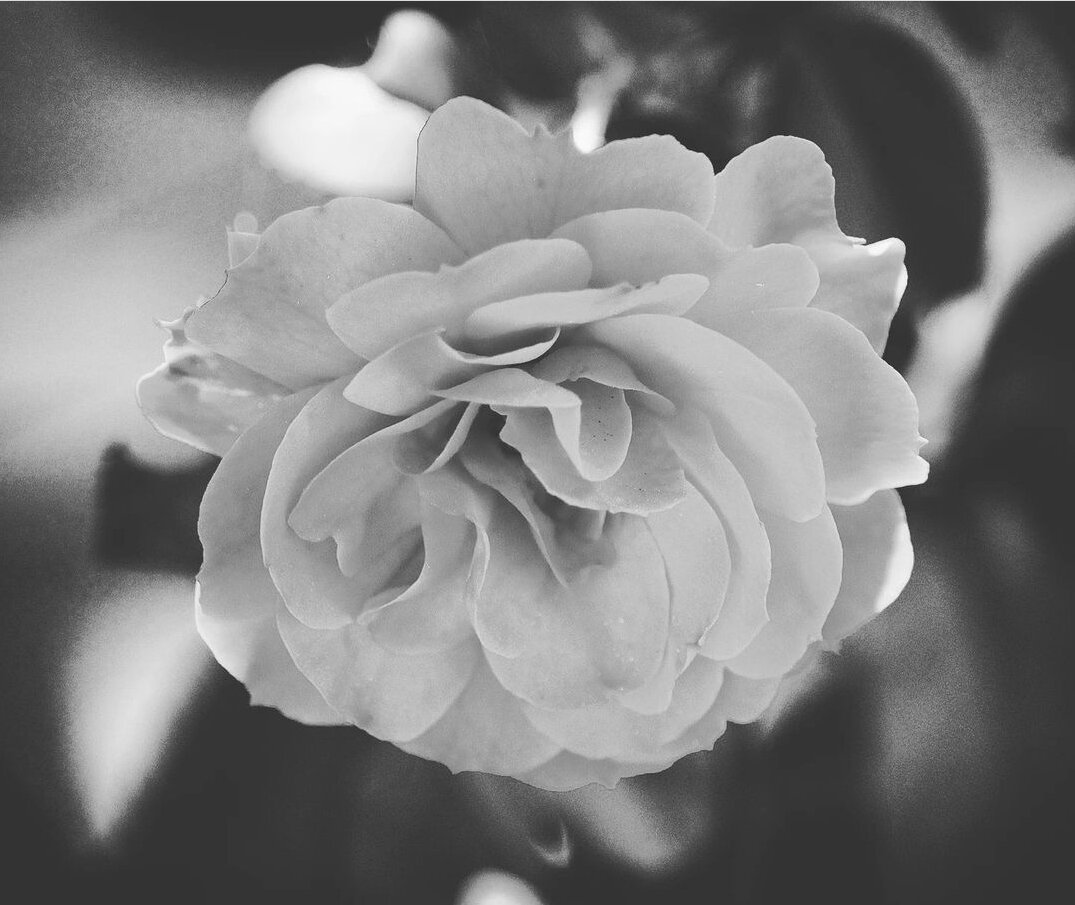 Simplicity