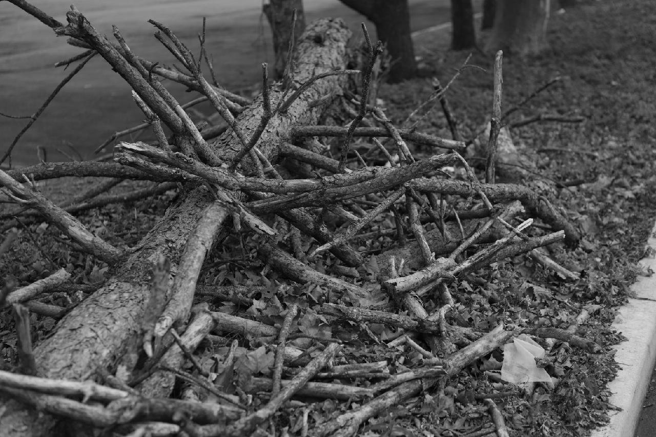 Sticks and Stones.jpeg