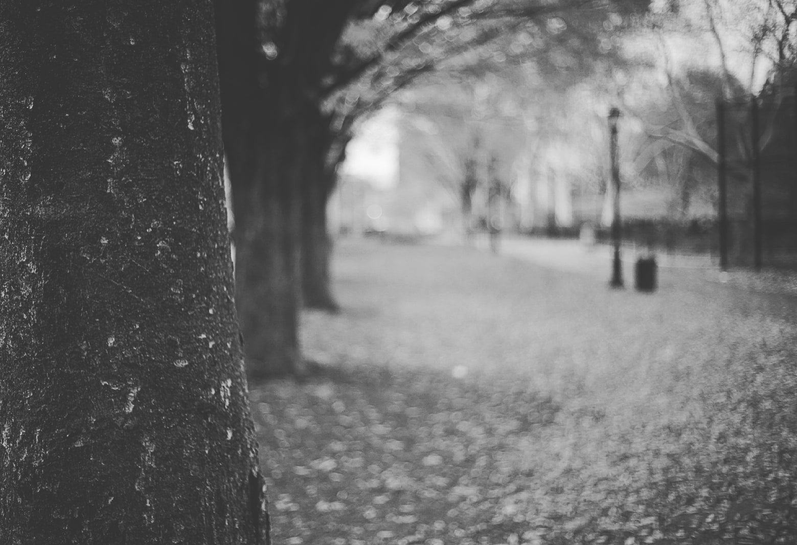 Lazy Stroll