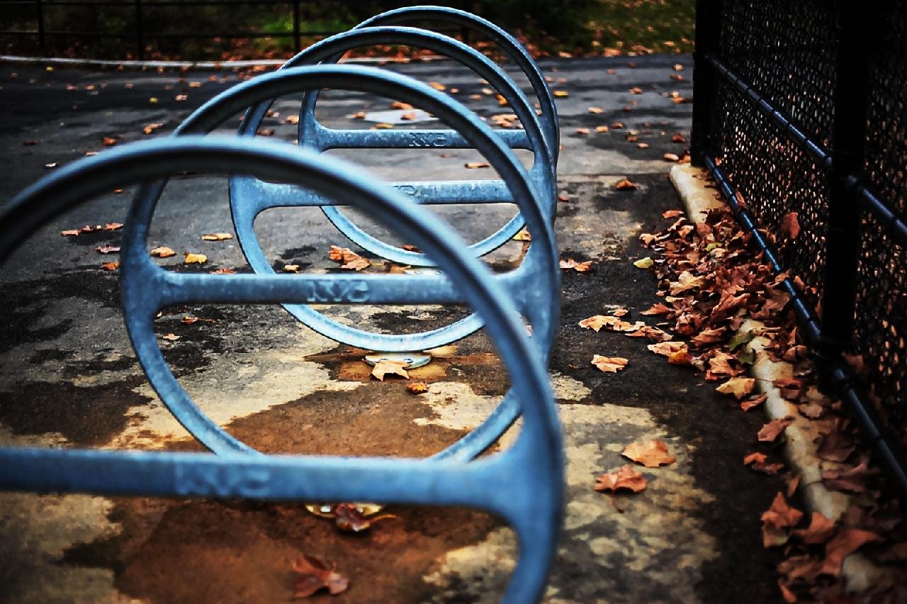 NYC Autumn - A Little & CJ Collaboration