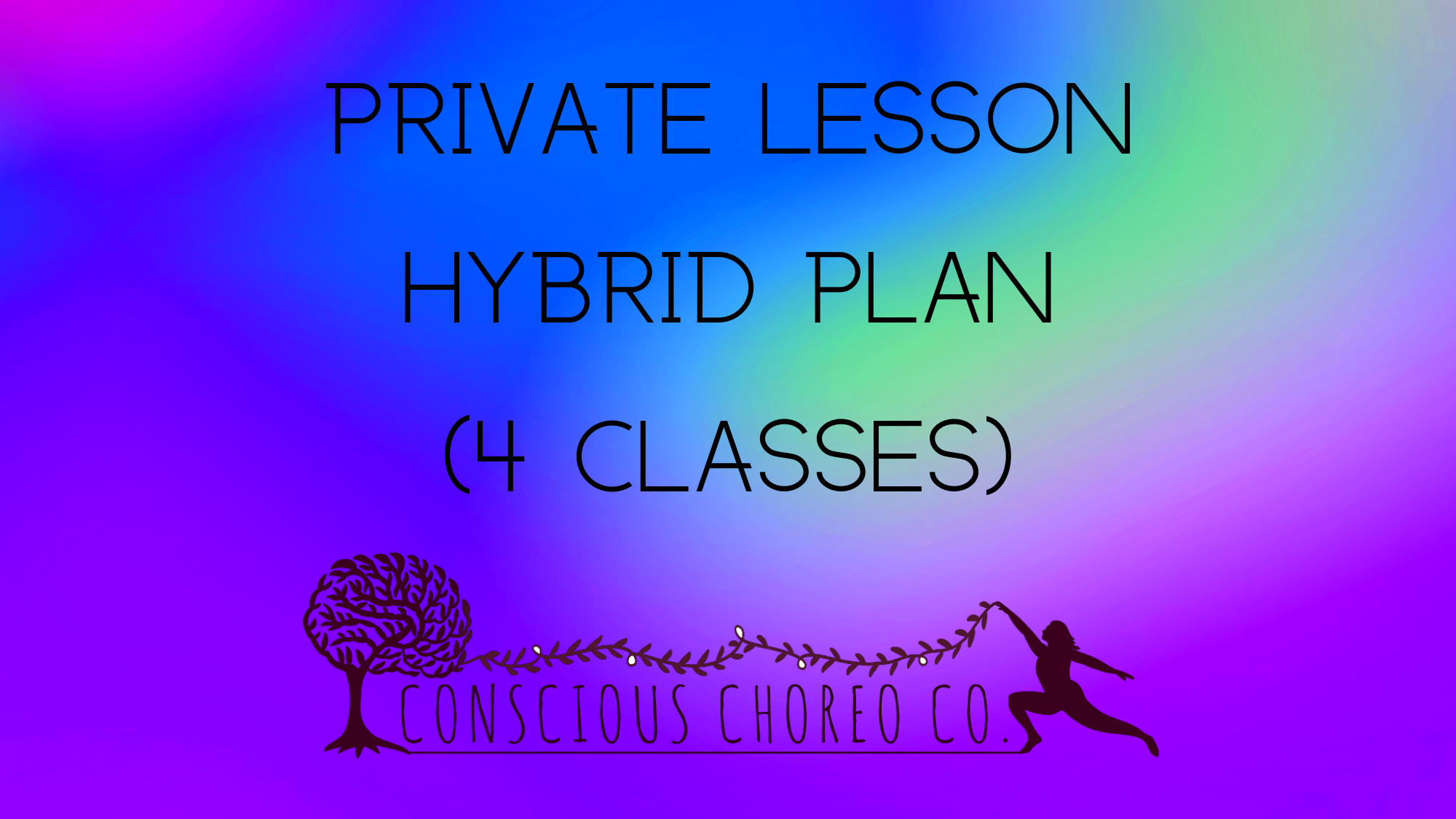 PRIVATE LESSON HYBRID PLAN- 4