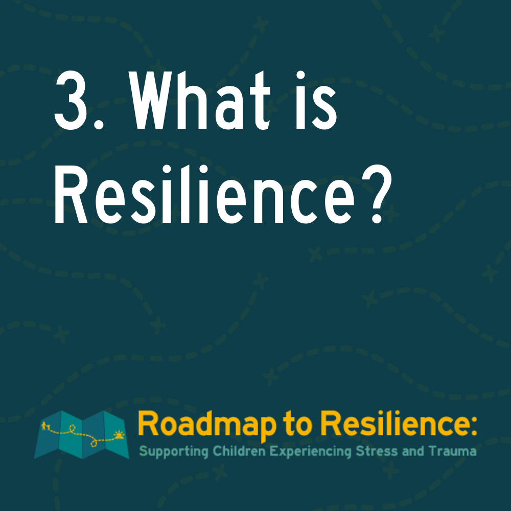 3. What is Resilience? episode artwork