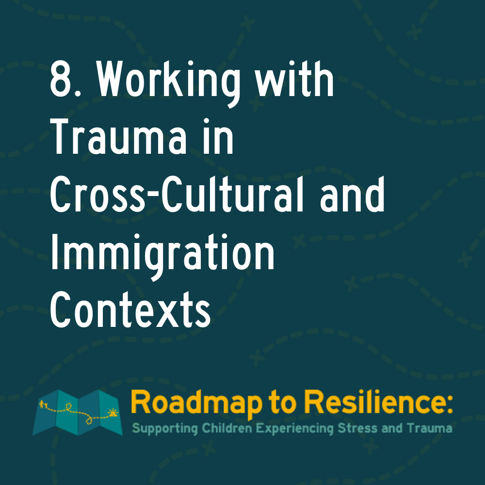 8. Working with Trauma in Cross-Cultural and Immigration Contexts episode artwork