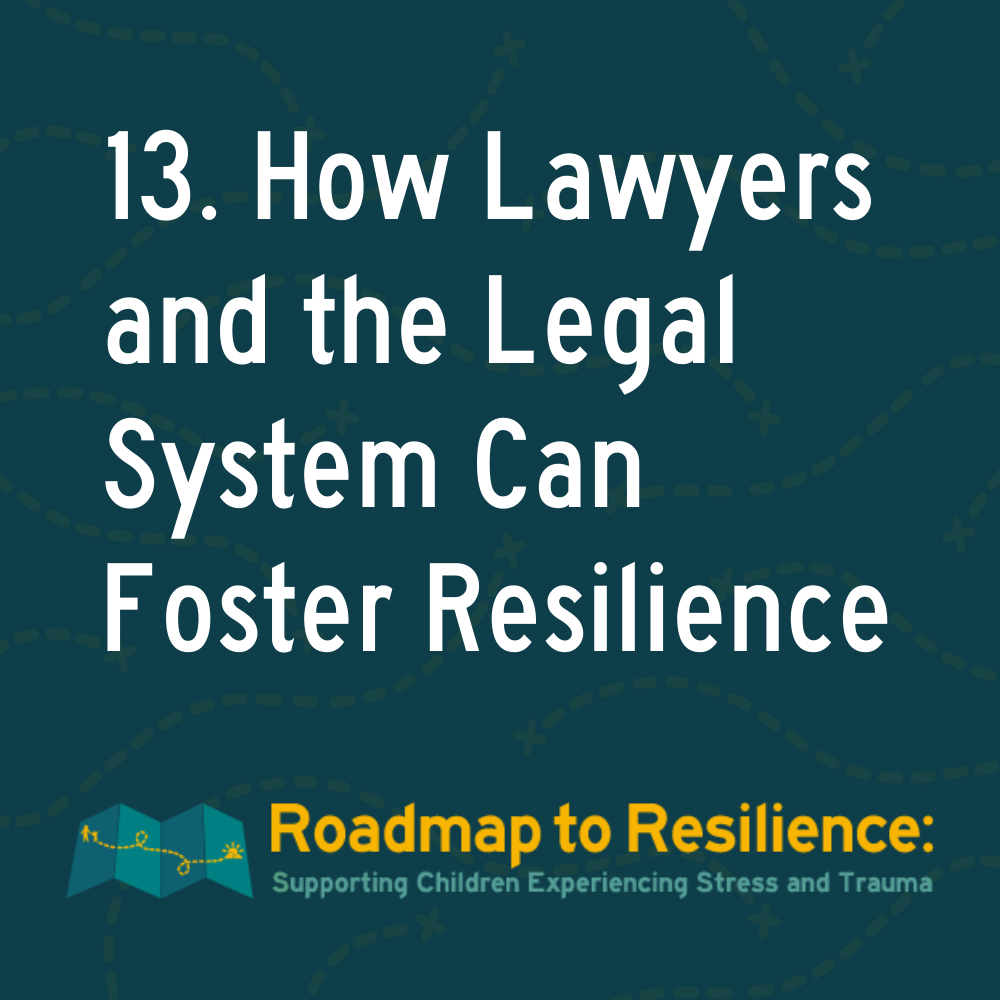 13. How Lawyers and the Legal System Can Foster Resilience