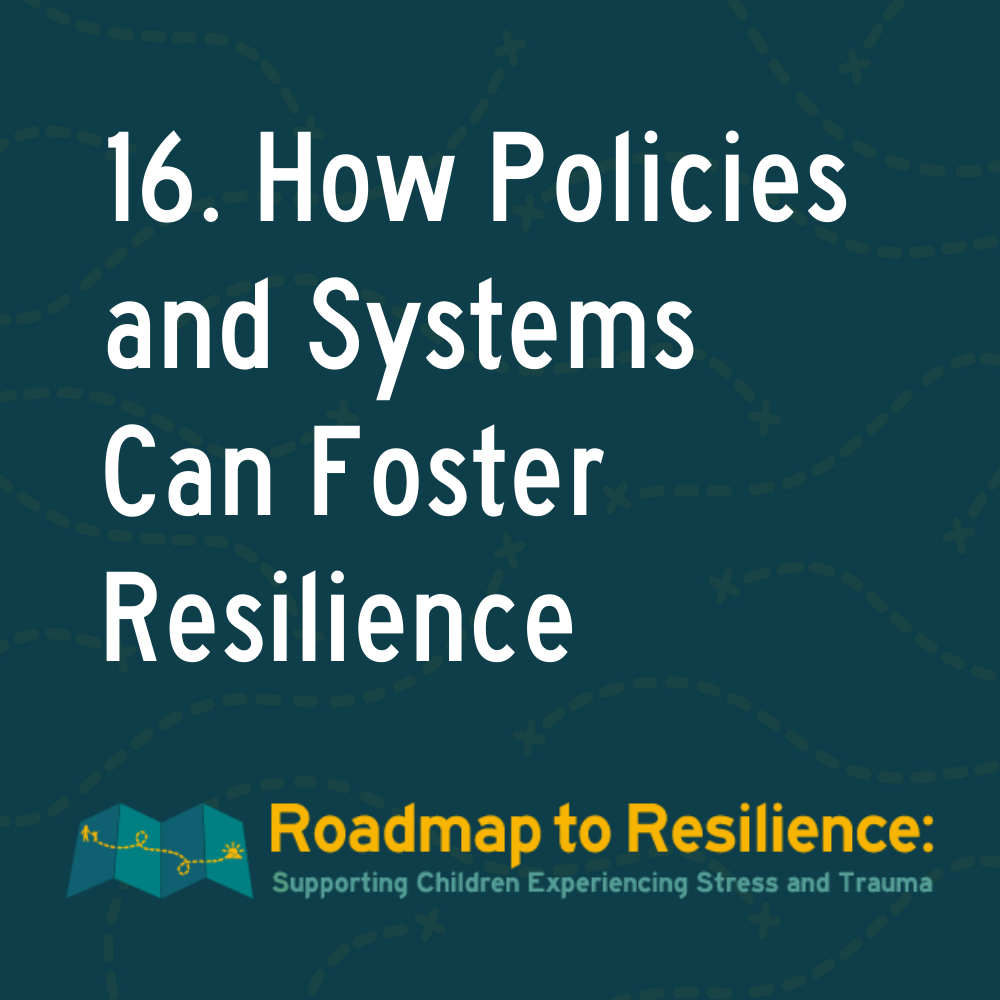 16. How Policies and Systems Can Foster Resilience