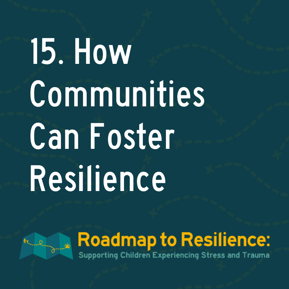 15. How Communities Can Foster Resilience
