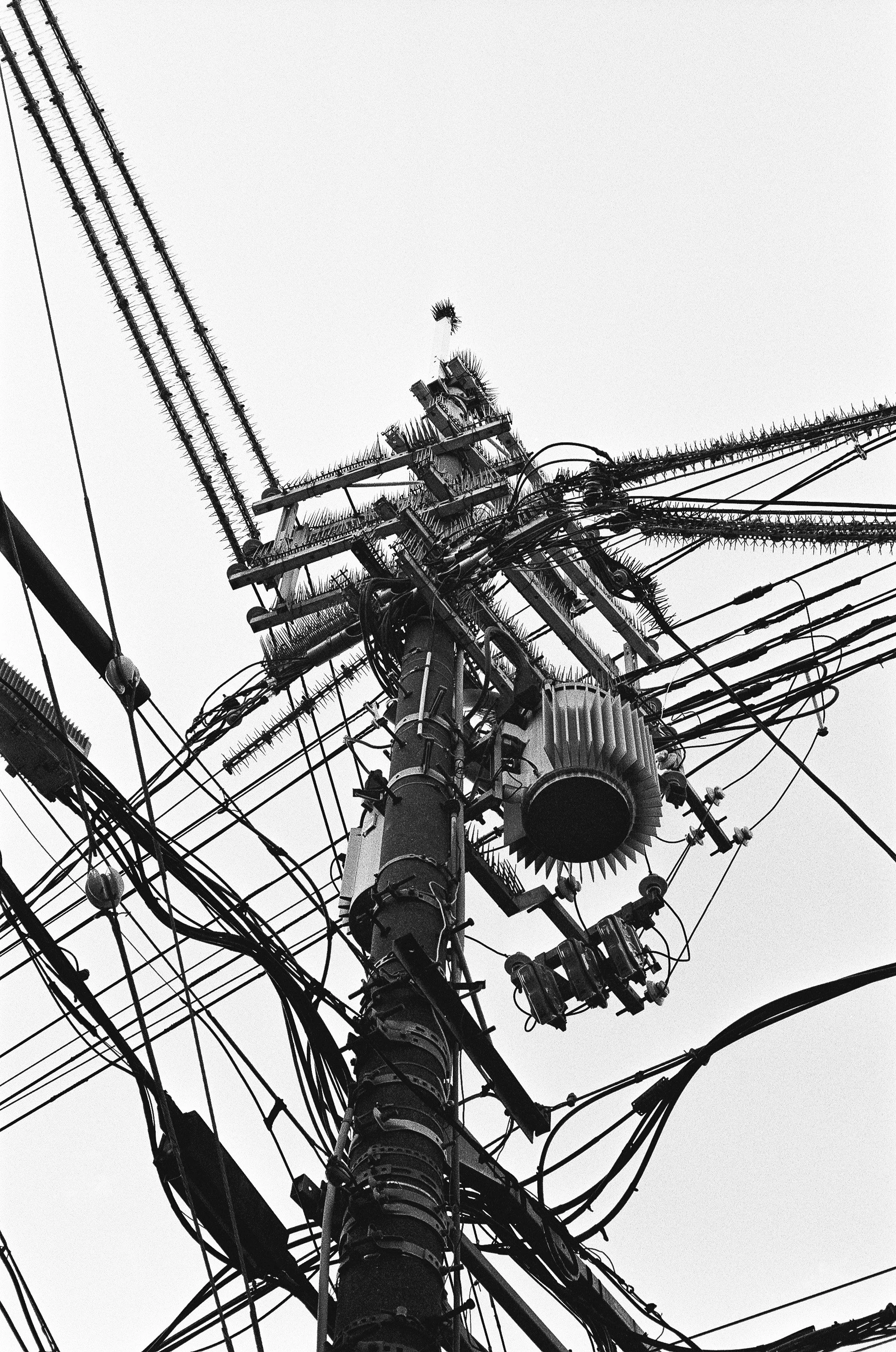 2026 Portfolio Resized-75.jpg