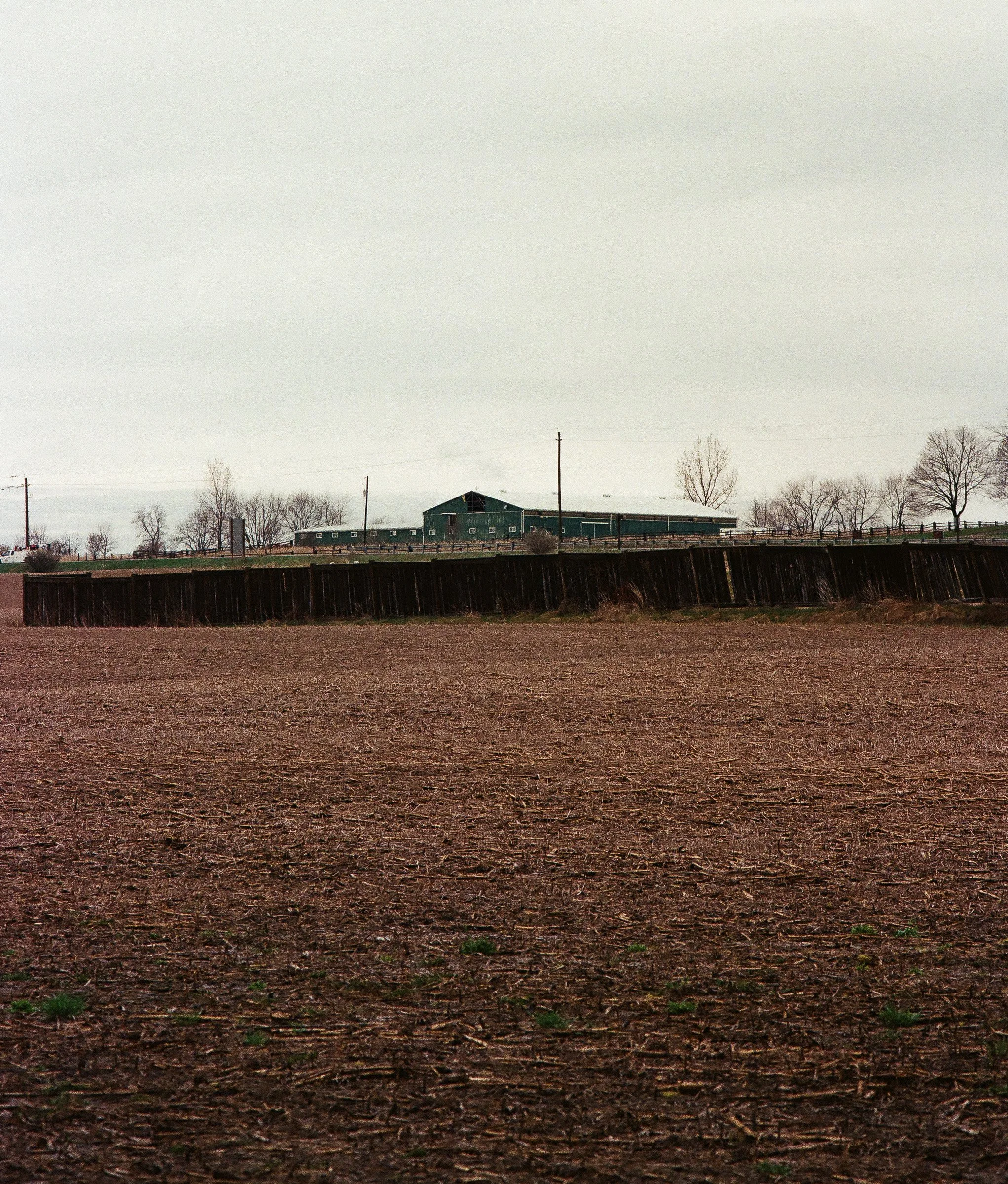 2026 Portfolio Resized-49.jpg