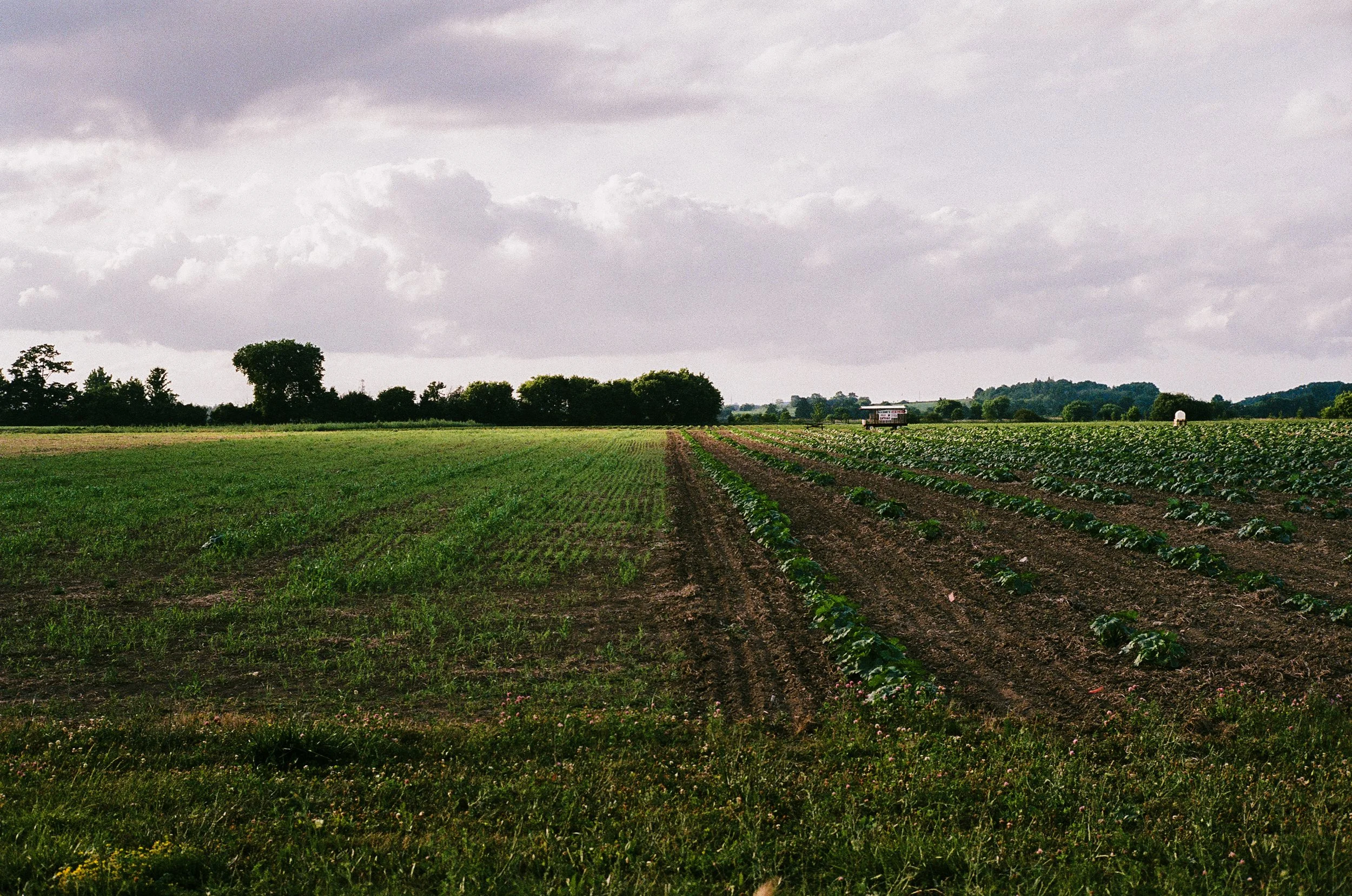 2026 Portfolio Resized-66.jpg