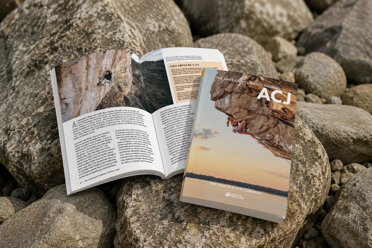 ACJ Mock Up_Summit Journal ONLY.jpg