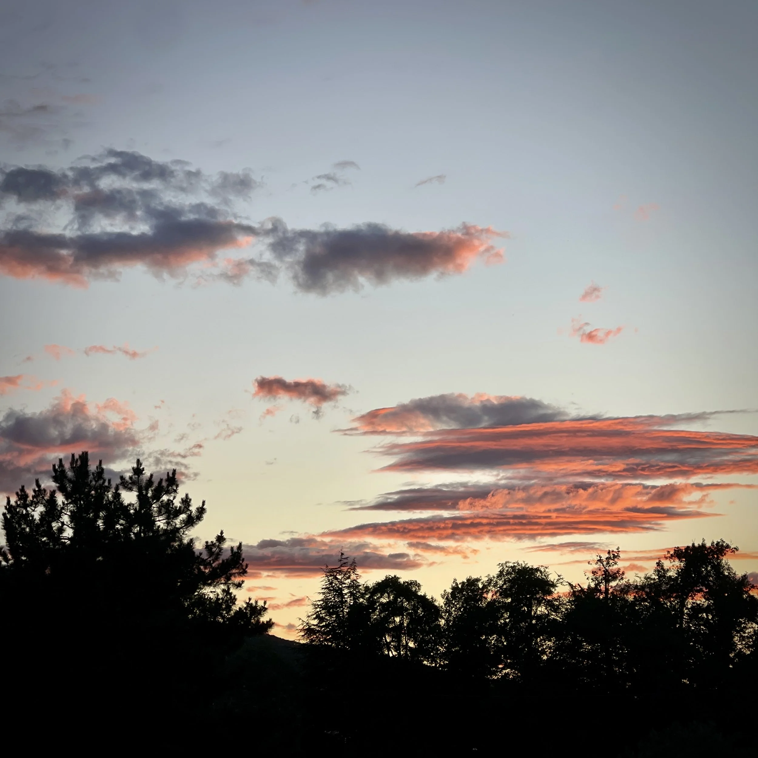Ashland, Oregon June 2024 📸 gary lundgren