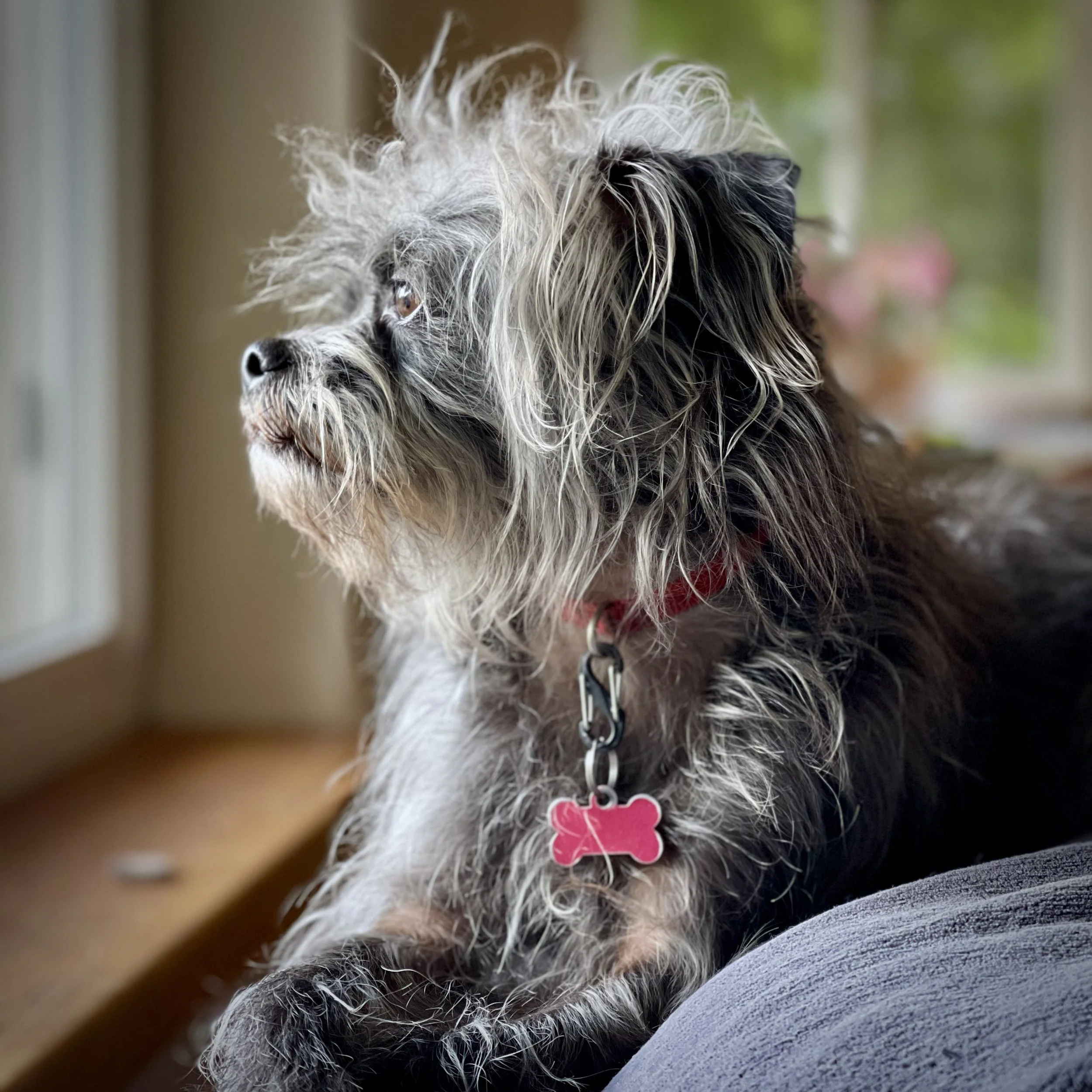 “Pogo” 2025 📸 gary lundgren