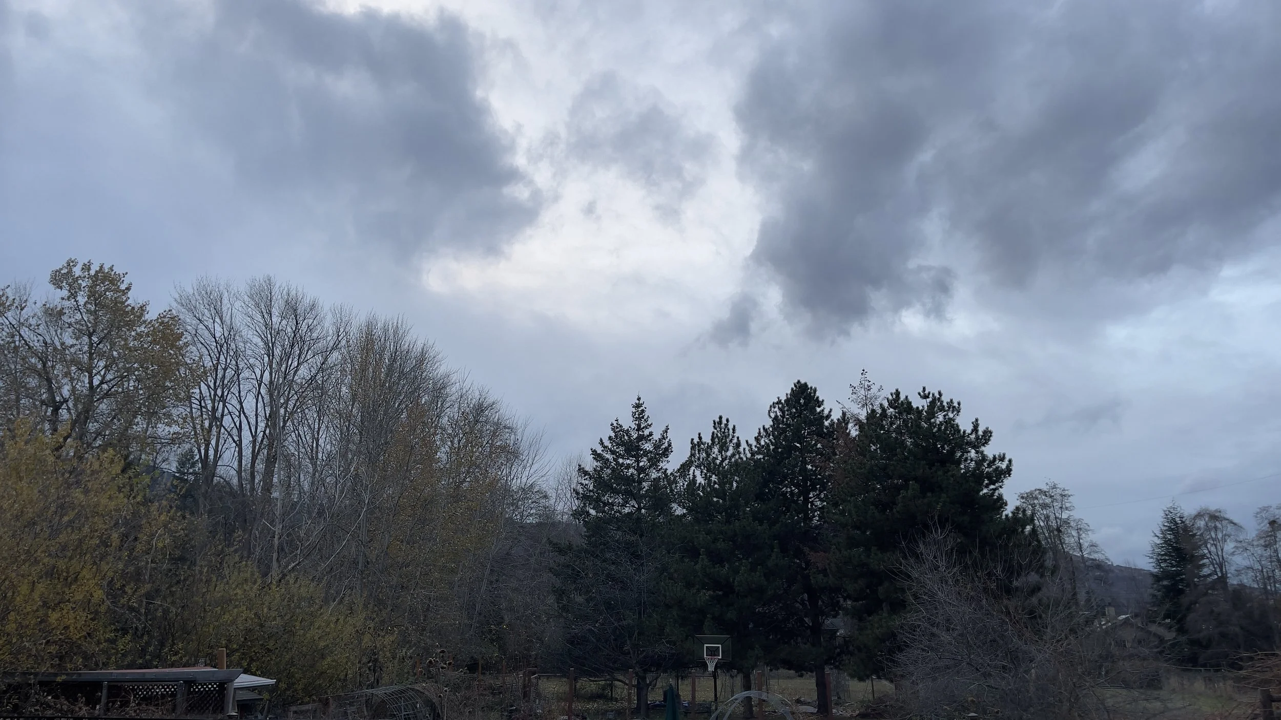 Between the trees, a strip of green that’s rolling my way