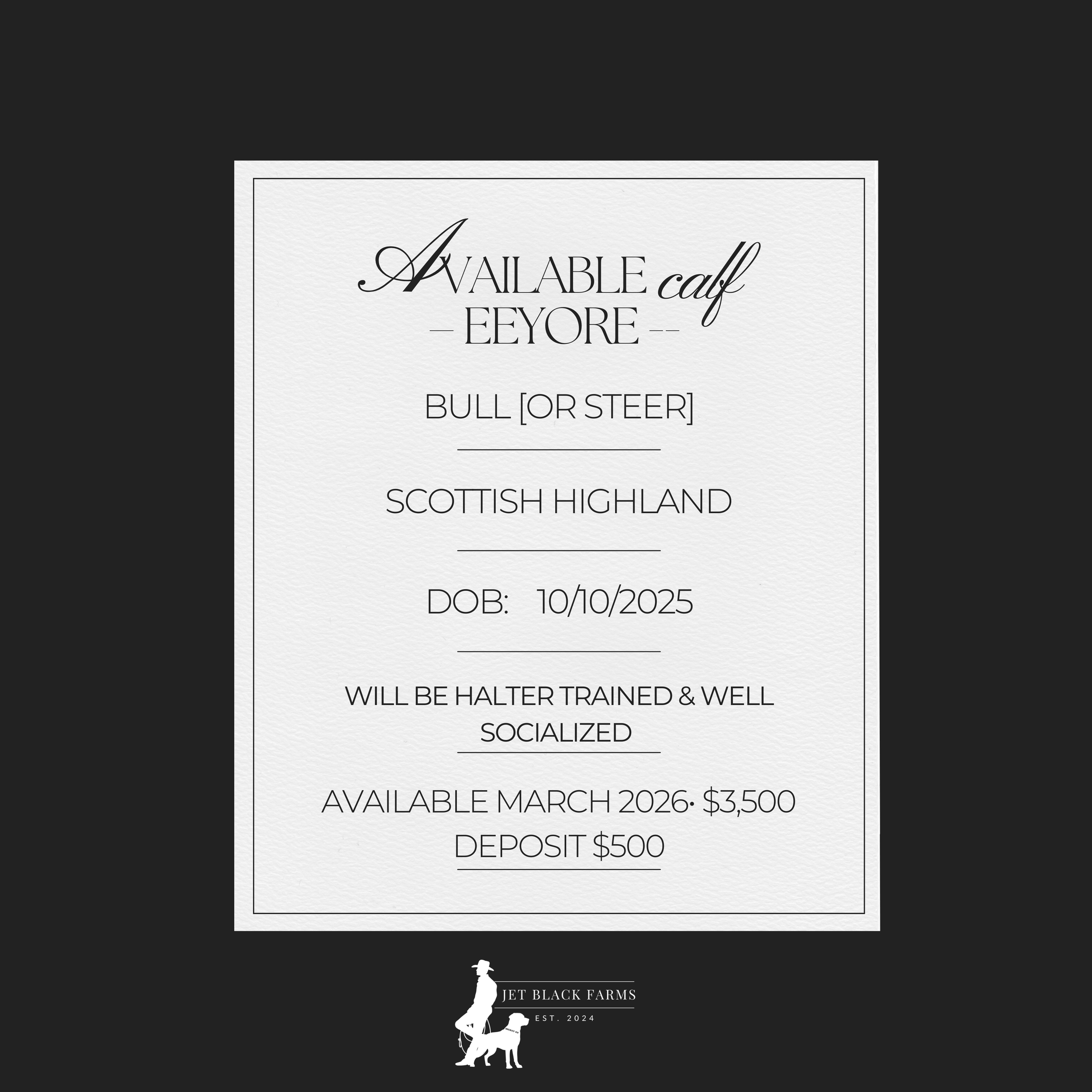 DUNN Bull Calf - $3,500 | Standard Mid-Size