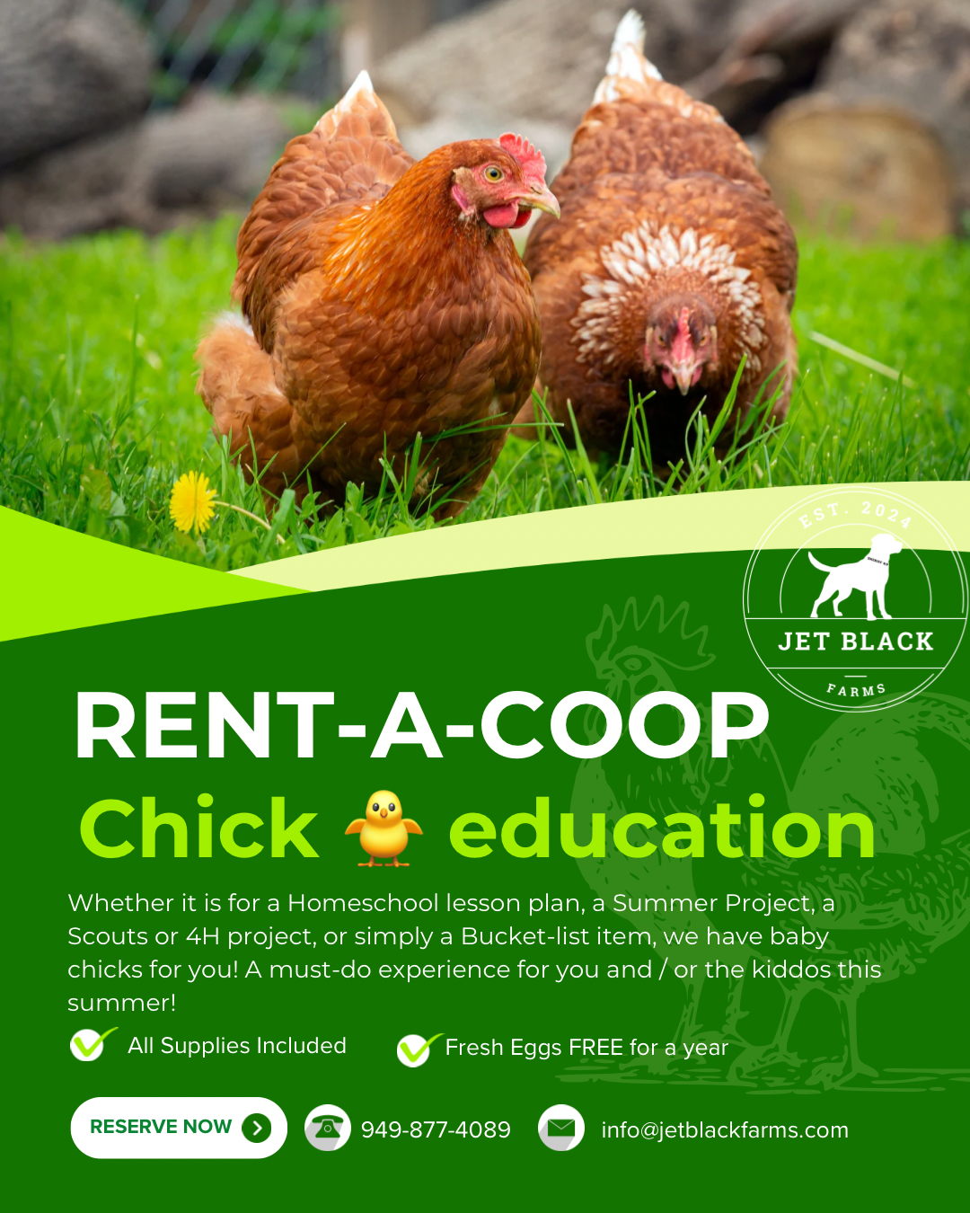 RENT-A-COOP - 1.PNG