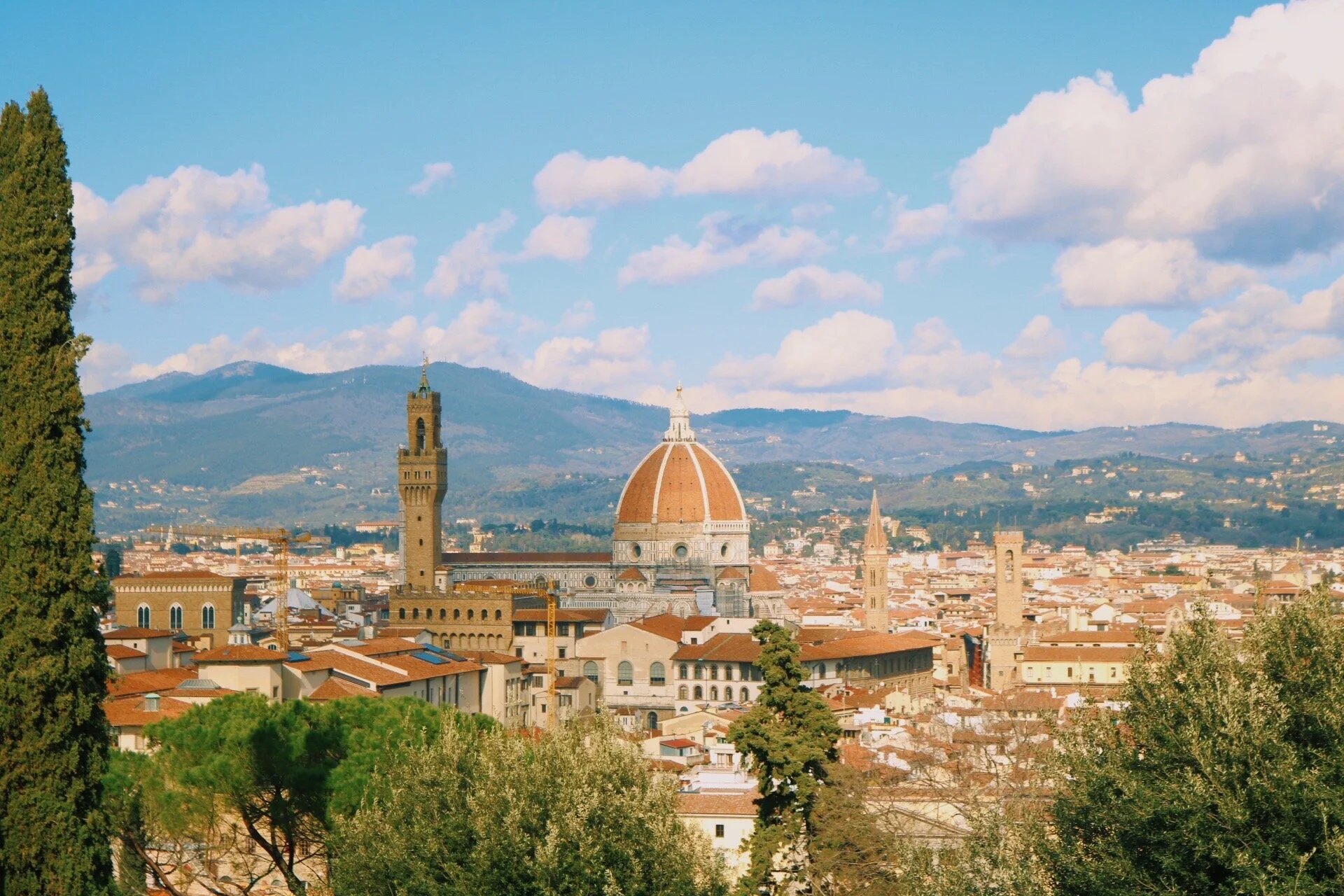 1DA084EC-35A3-46E5-8BFB-AAC84759B5CC 2.JPG