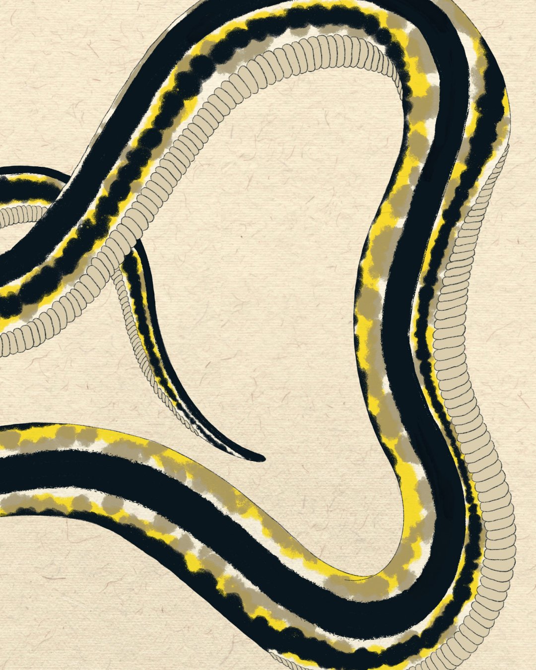 2024Jan17_Year of the Snake_4.jpg