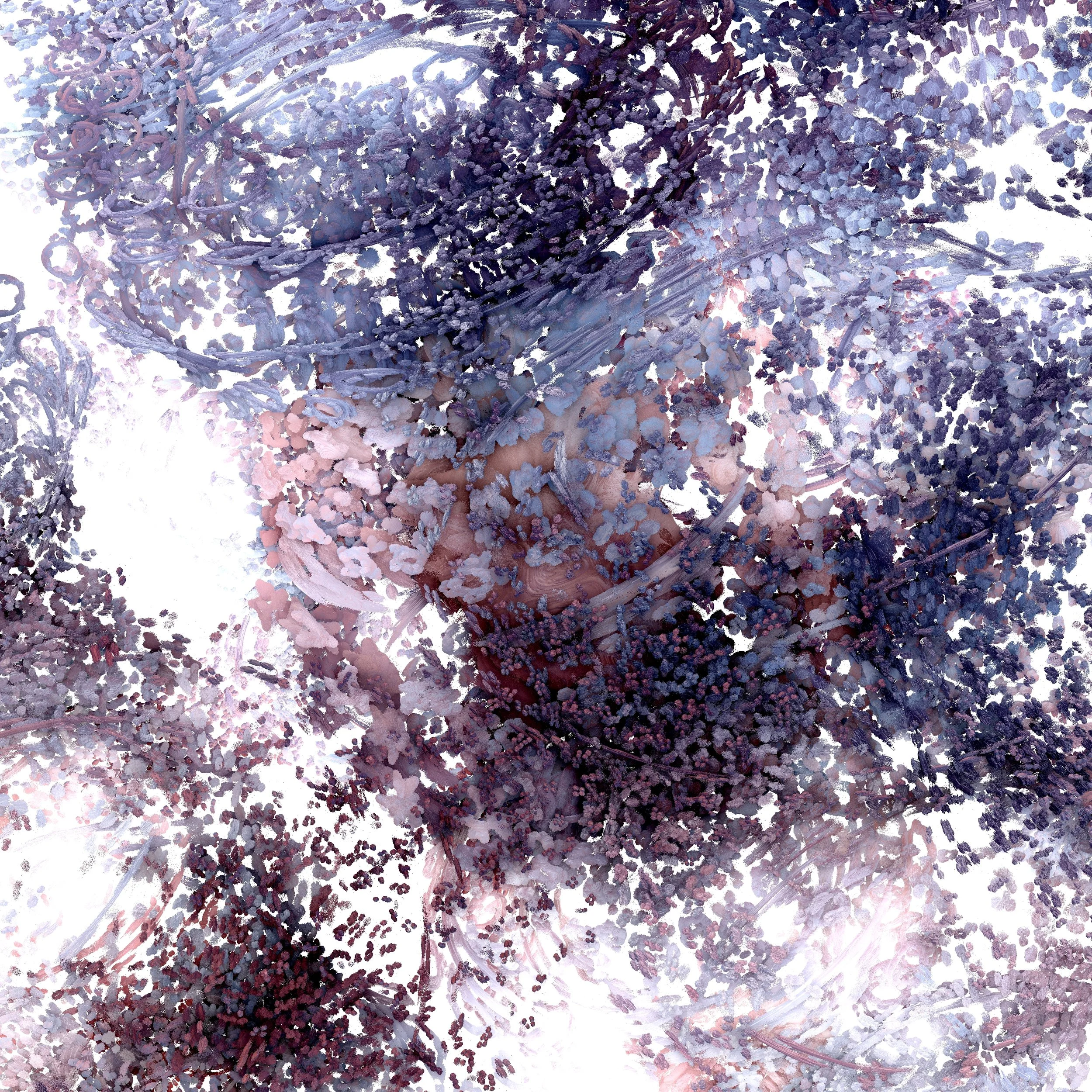 96.jpg