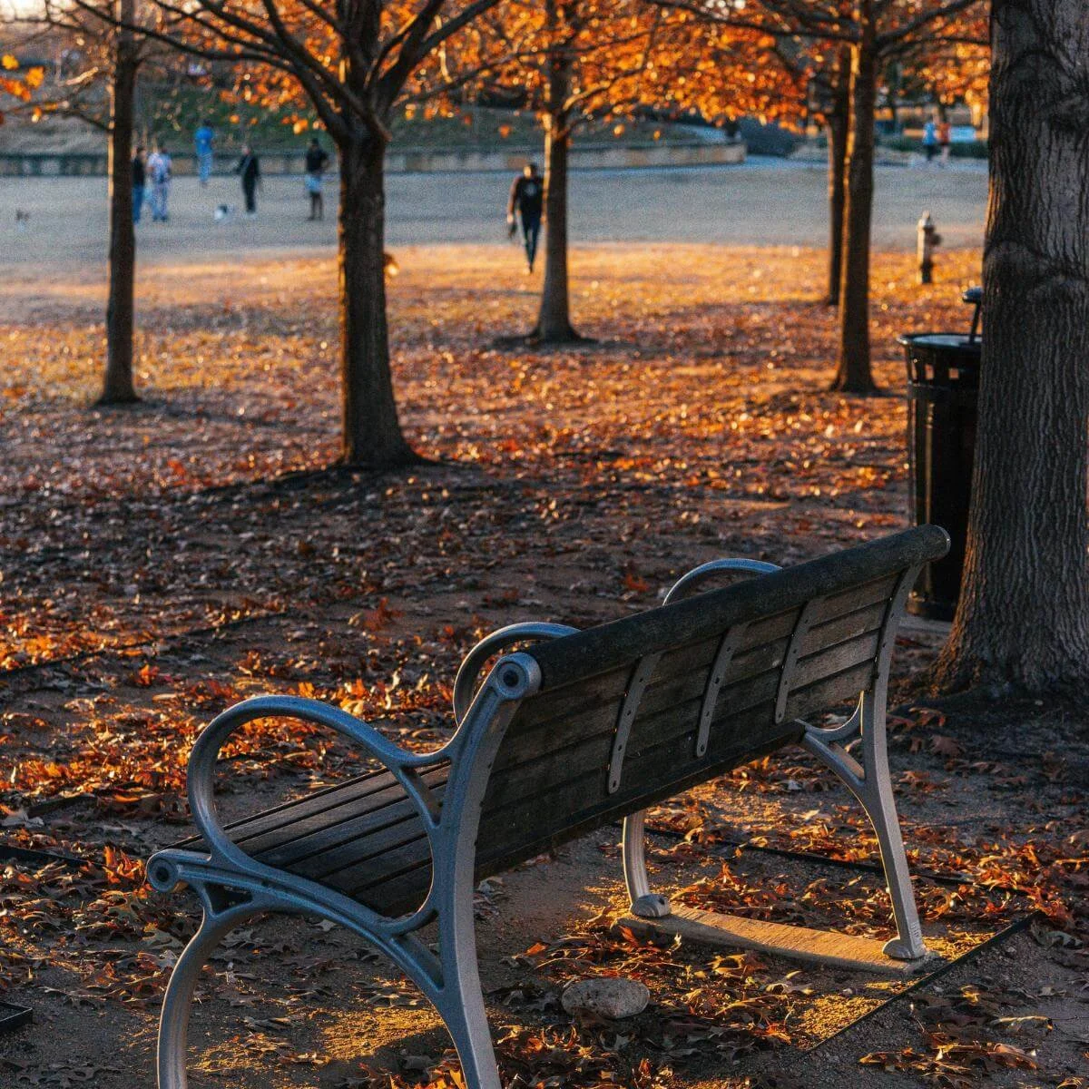 a park bench in Austin, TX
