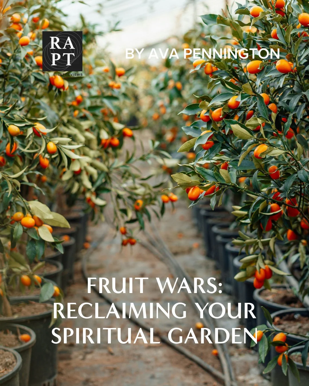 &quot;Just as a branch broken from the vine no longer receives sustenance to bear fruit, our failure to remain connected separates us from everything we need to mature the Spirit's fruit in us. And the devil employs a variety of weapons to accomplish