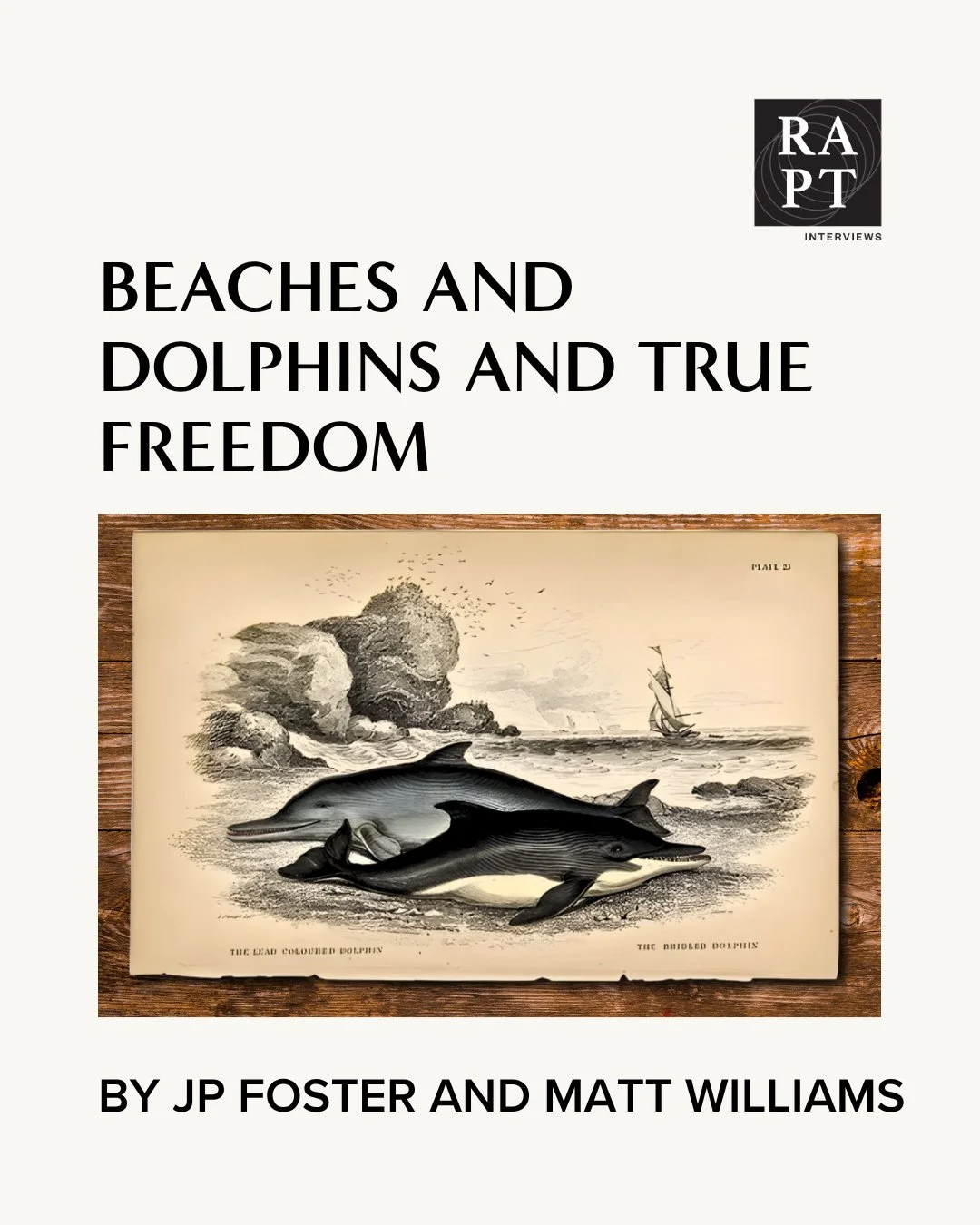&quot;True biblical freedom empowers us to act the way God designed us to act. Our Creator God designed dolphins to thrive in the ocean and designed human beings to thrive only when they follow Jesus and his commands.&quot; -JP Foster and Matt Willia