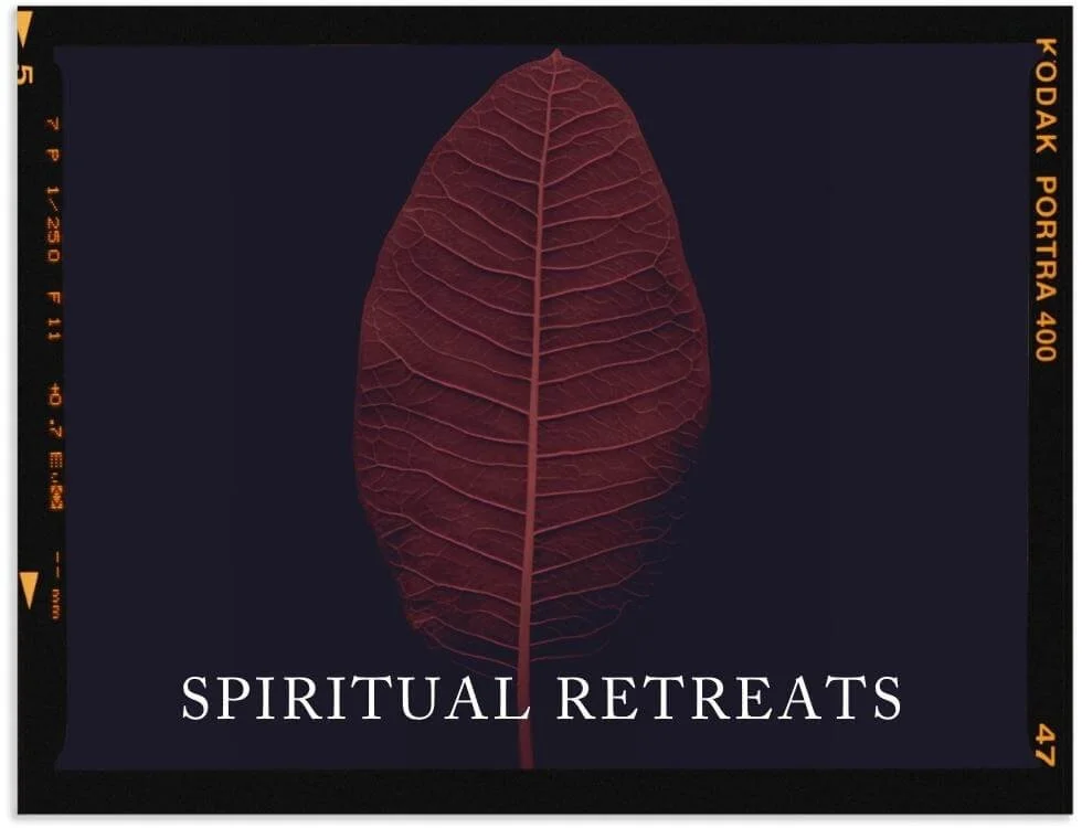 Rapt Homepage Spiritual Practices (980 x 750 px)(2) (1).jpg