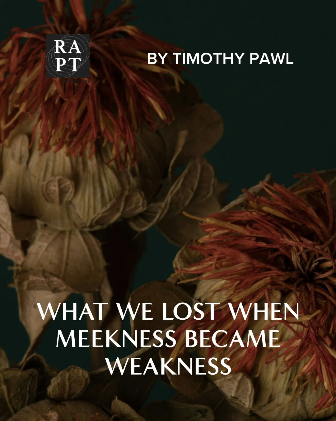 "Such a trait &mdash; excellence with respect to one's anger &mdash; used to be called meekness. We hear an echo of this original meaning even today in horse training, where to meek a horse means training it to subjugate its great power to its m