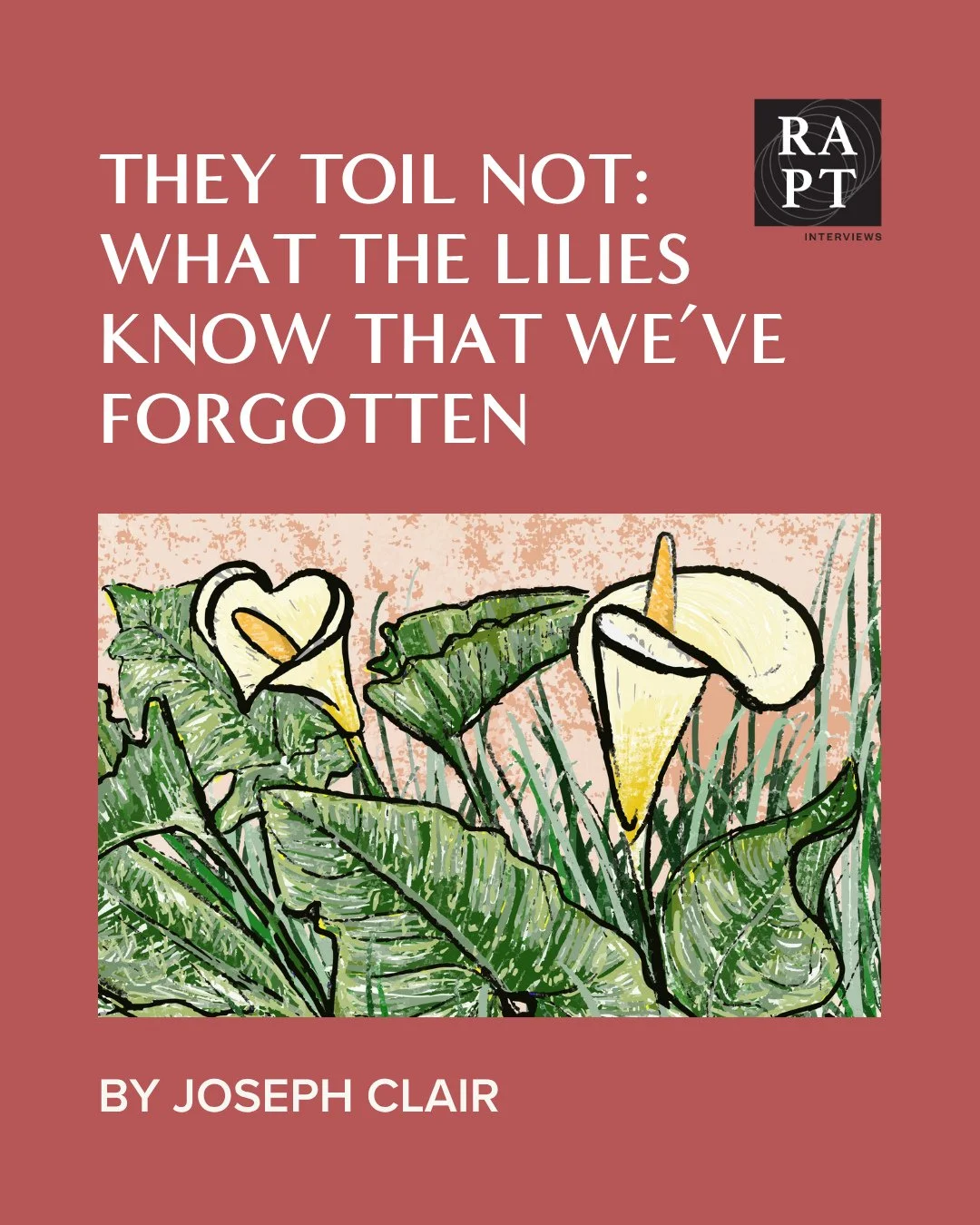"The beauty of it all can make you punch-drunk like the over-pollinated bumblebees I find dozing in the folds of the dinner plate-sized Dahlias on sunny afternoons. There is a gratuitous excess to it all. I am not a botanist, but I can&rsquo;t i