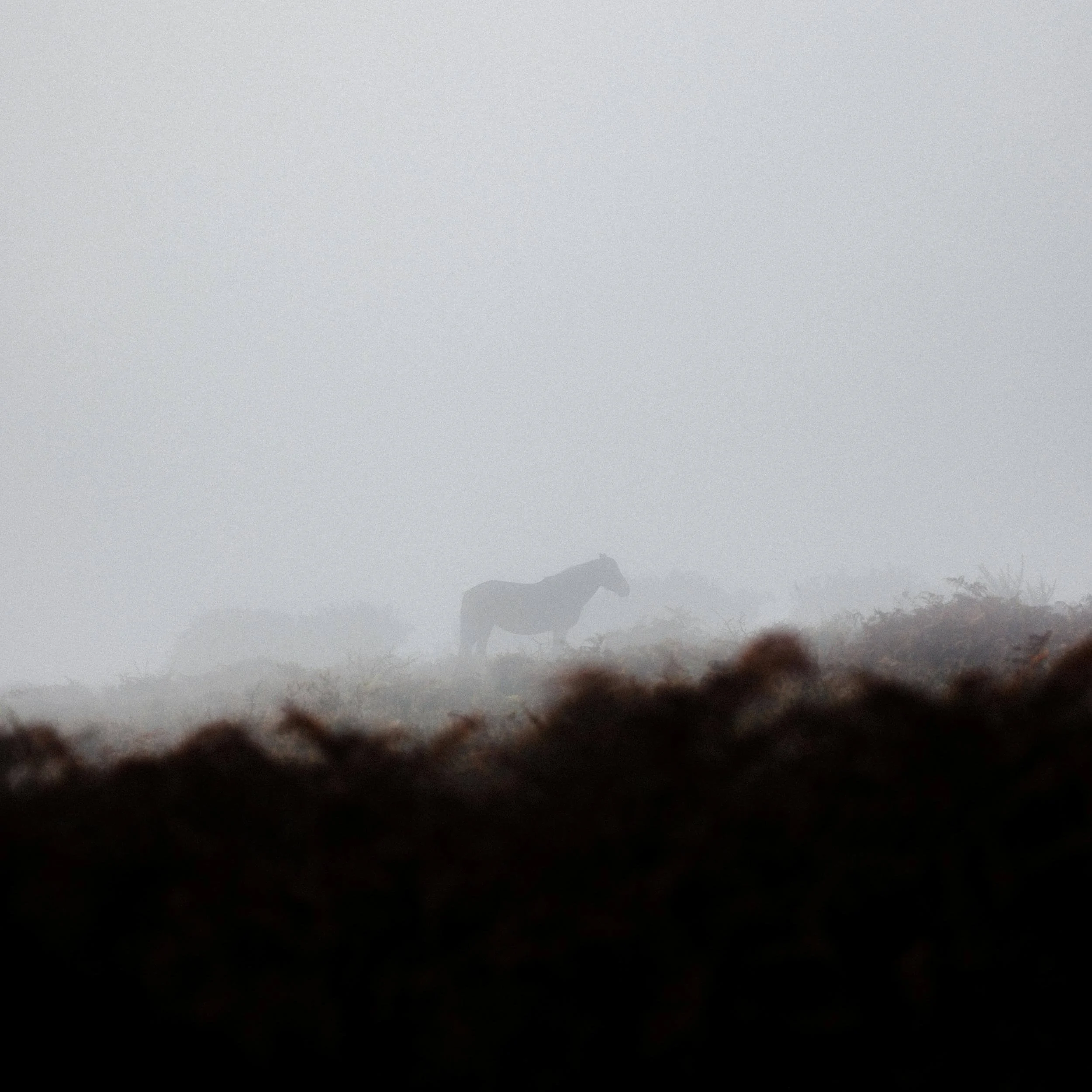 A Dust Cloud, a Dark Bay, and a Prayer