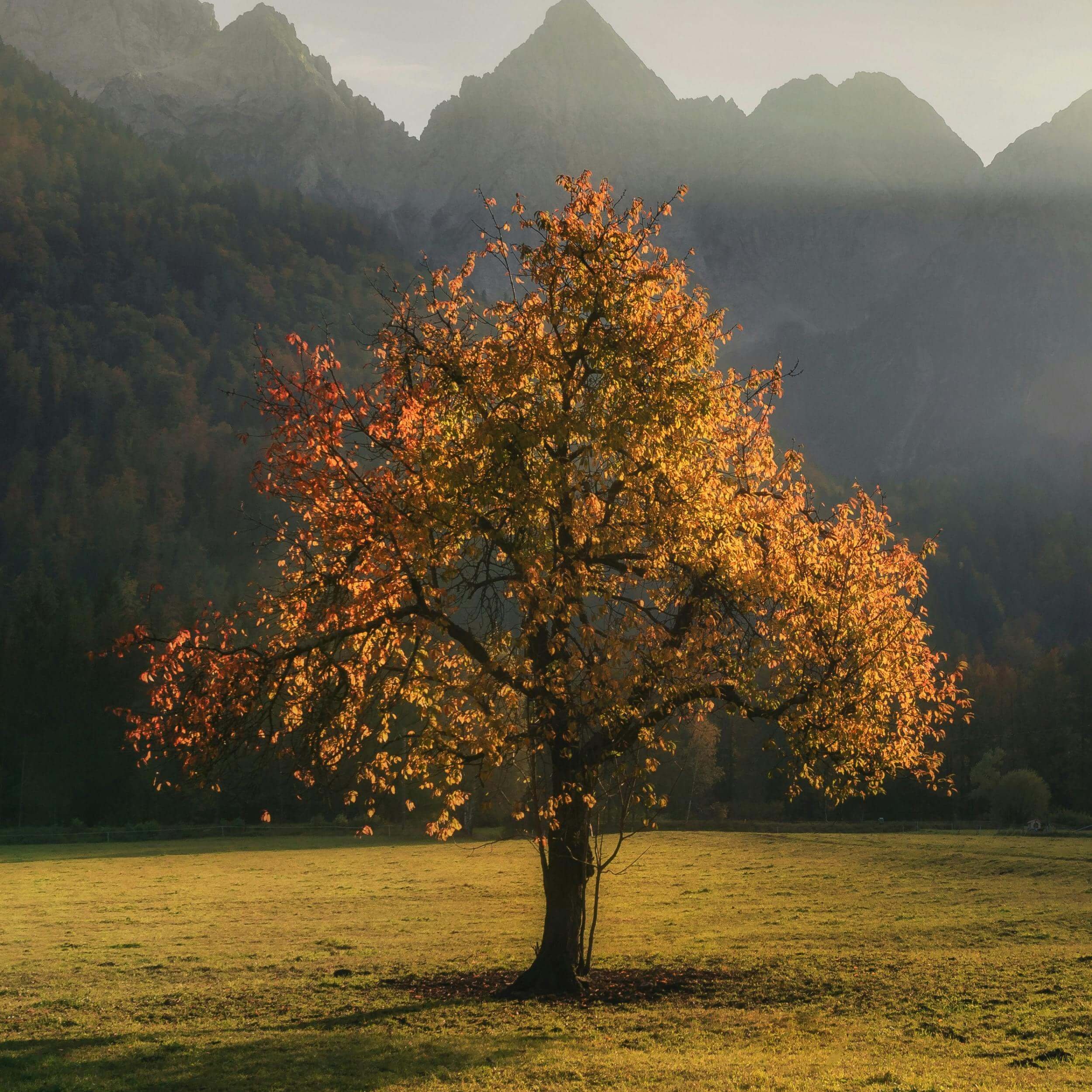'Surprised By Joy': Understanding The Void