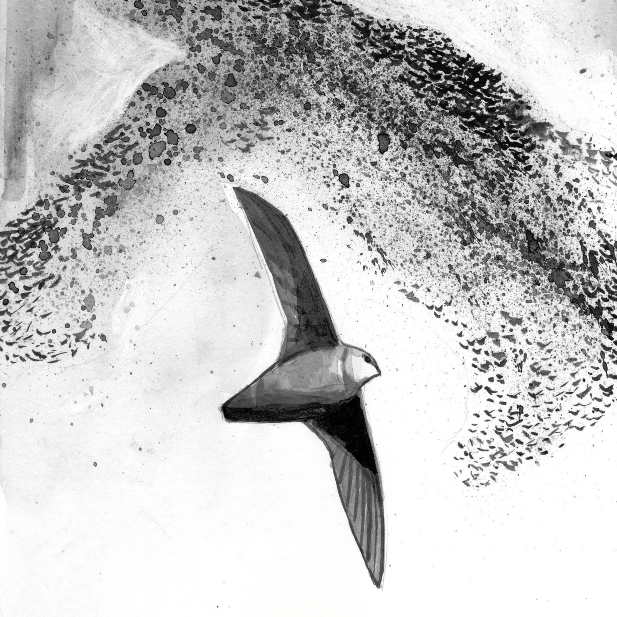 The Golden Thread: Church Unity Through the Eyes of a Birder