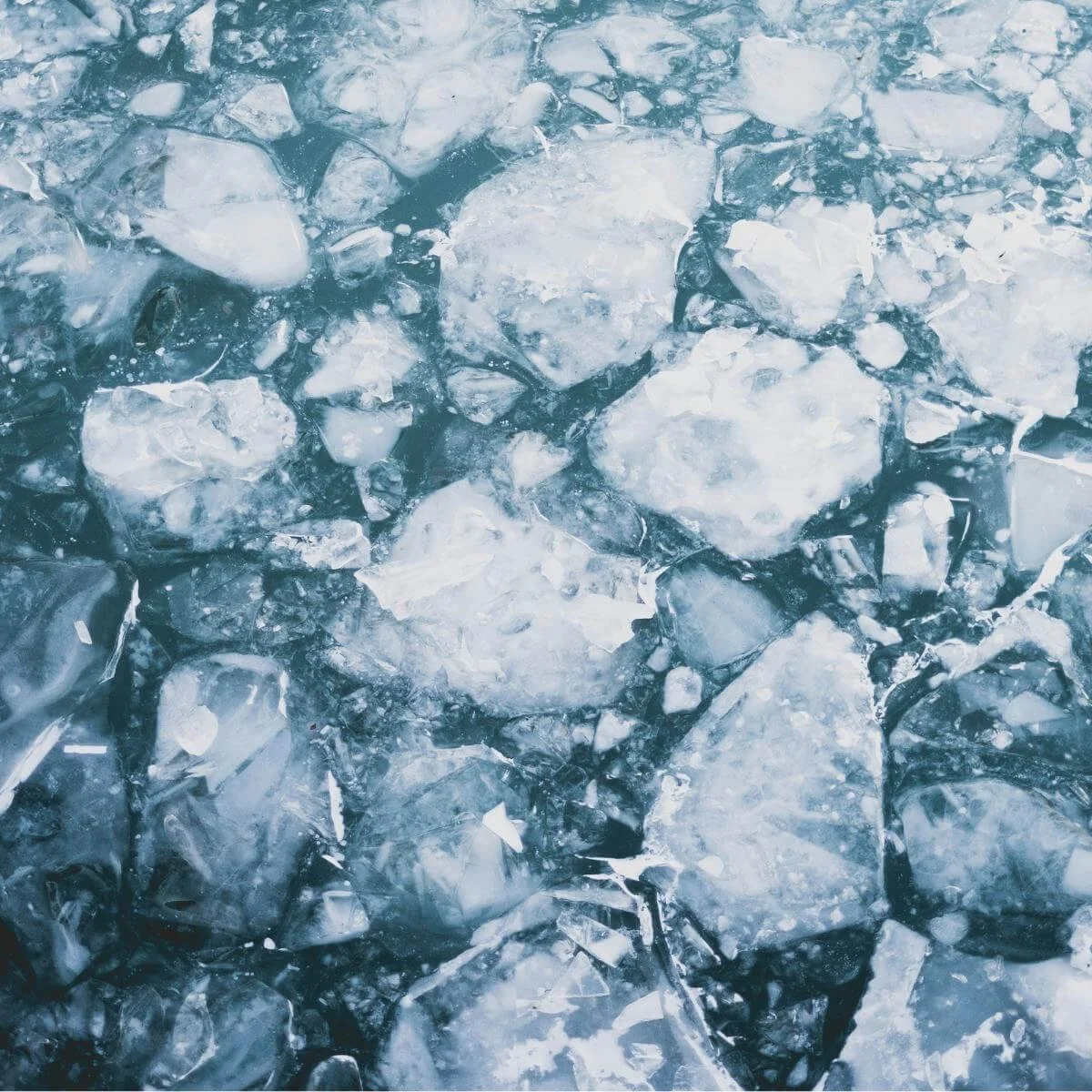 ice floating in blue-green water