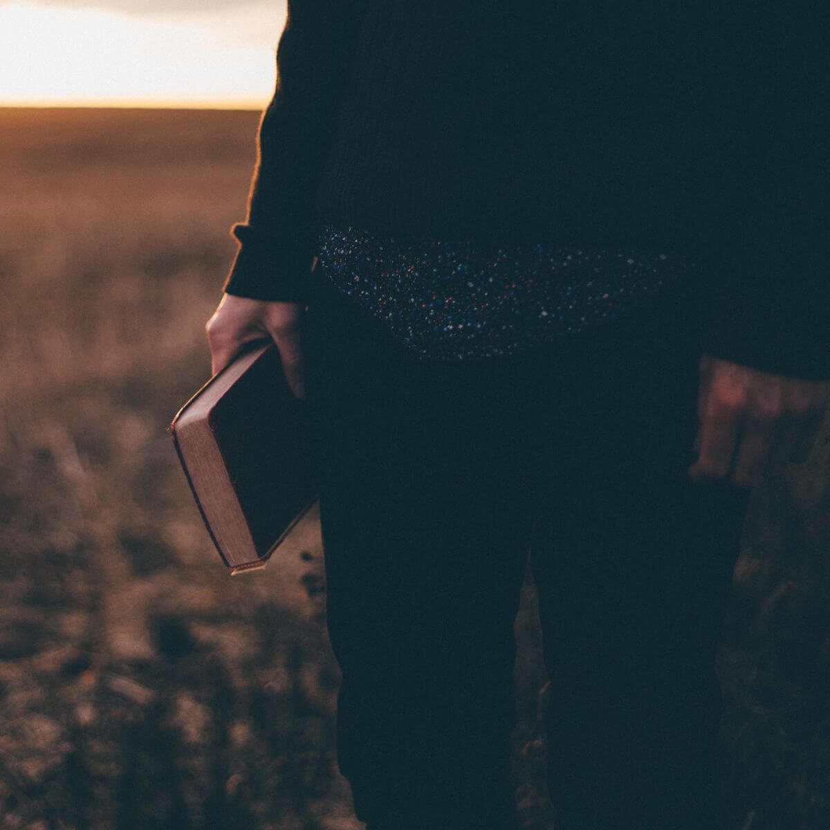 Reading Scripture with Imagination
