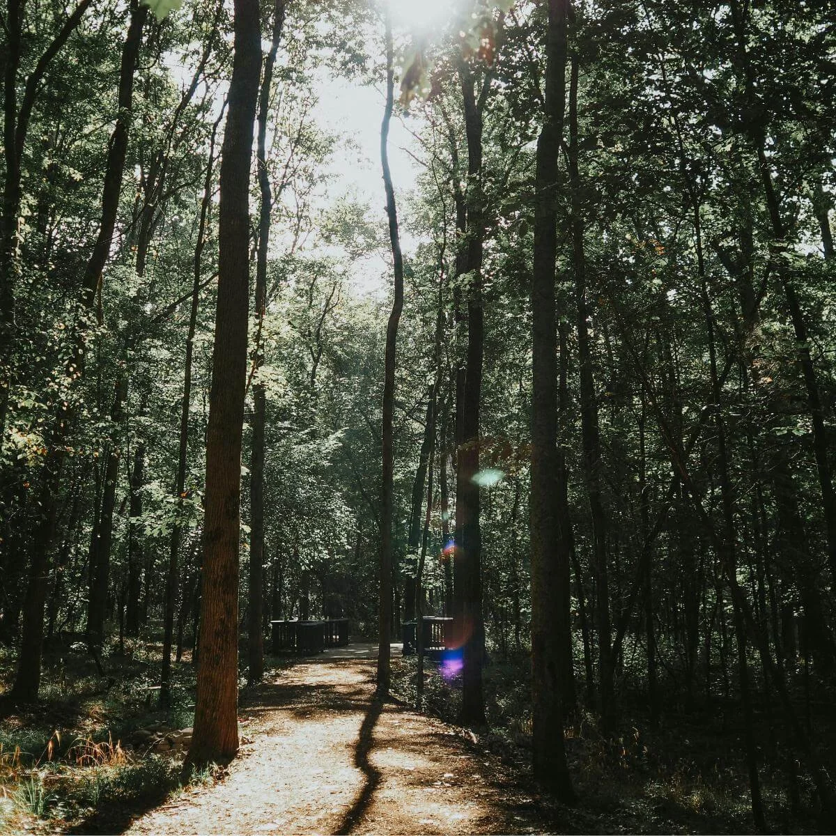 a hiking trail in Nashville