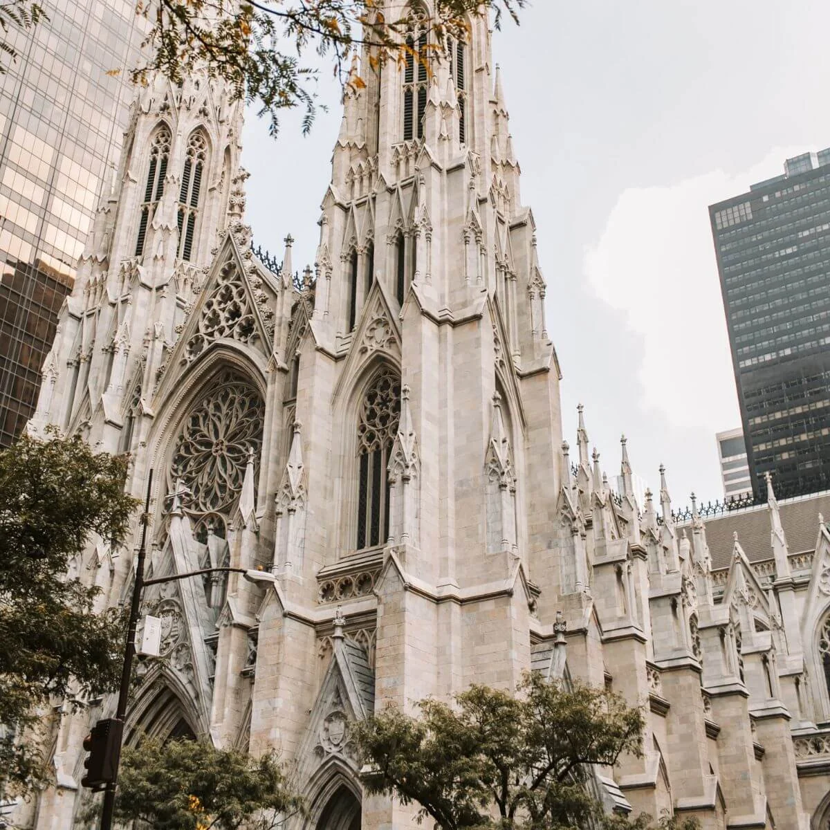 Destination Saint Patrick s Cathedral RAPT Interviews destination-saint-patrick-s-cathedral-rapt-interviews