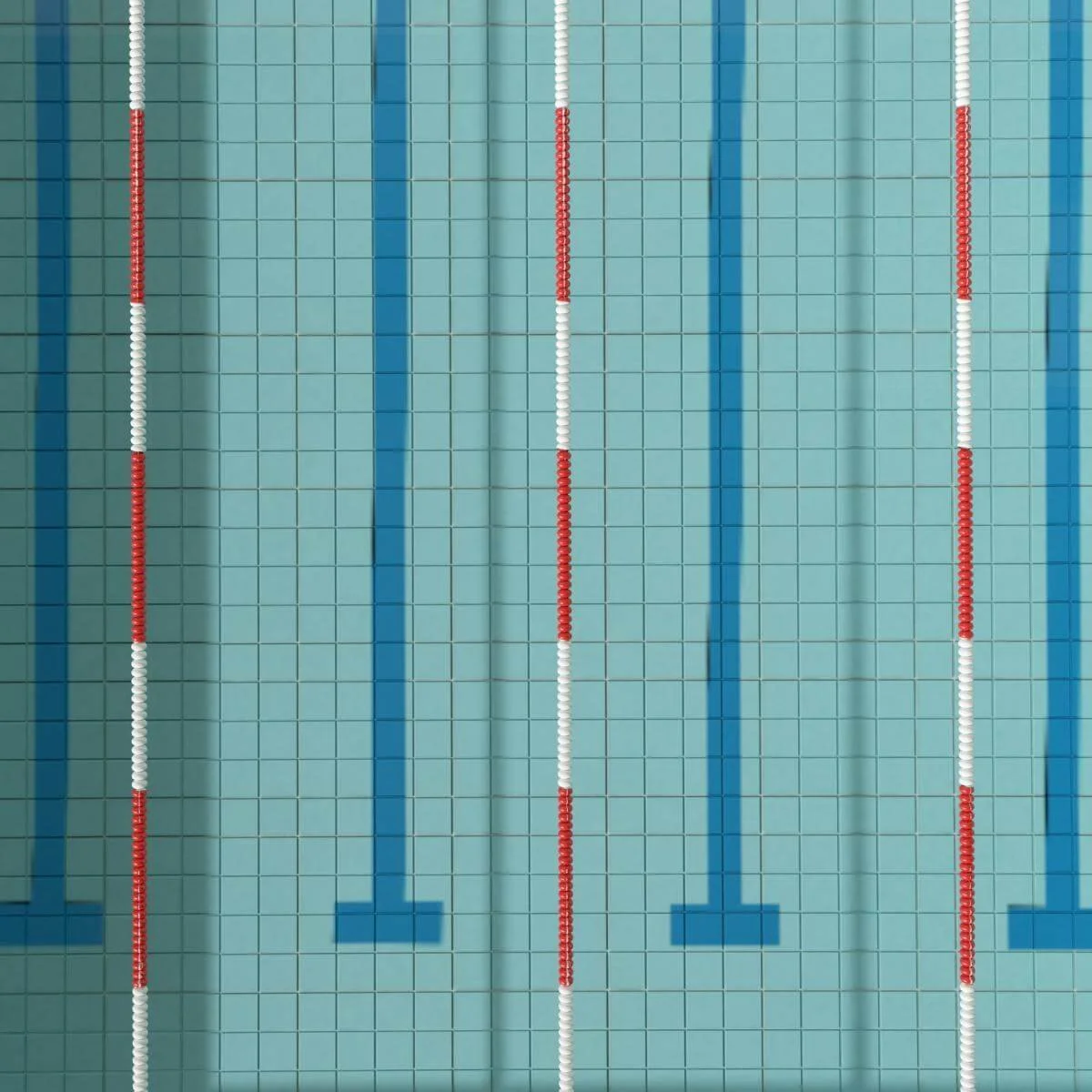 swimming lanes in a pool