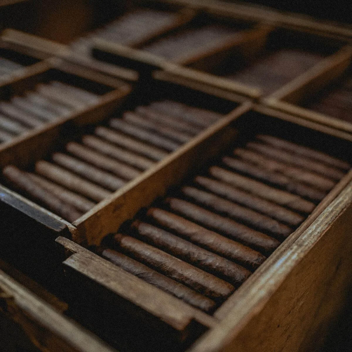 boxes of cigars