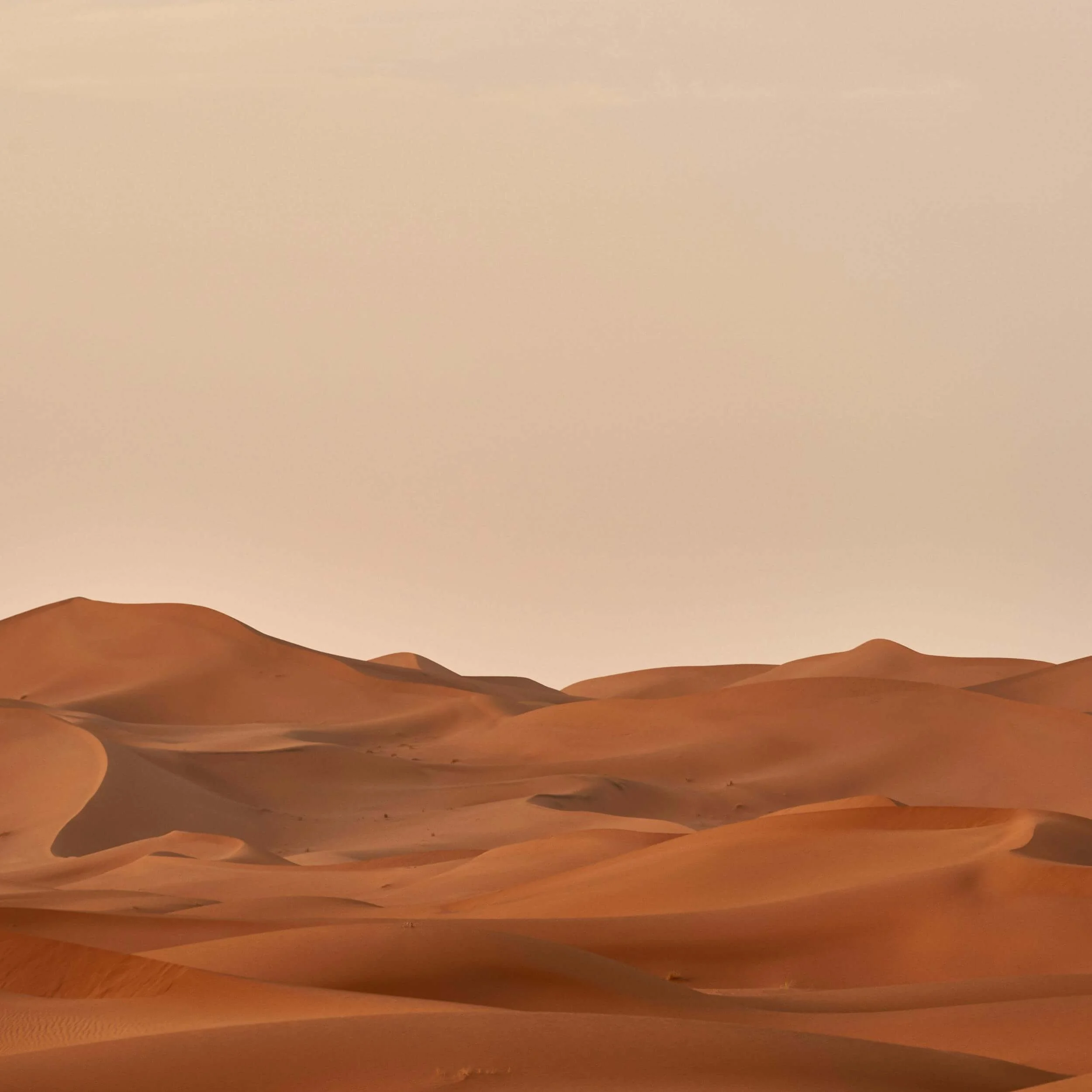 red sand dunes in the desert