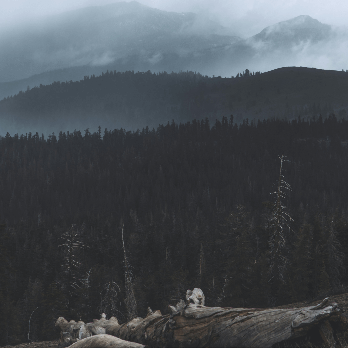 the Sierra Nevada mountains