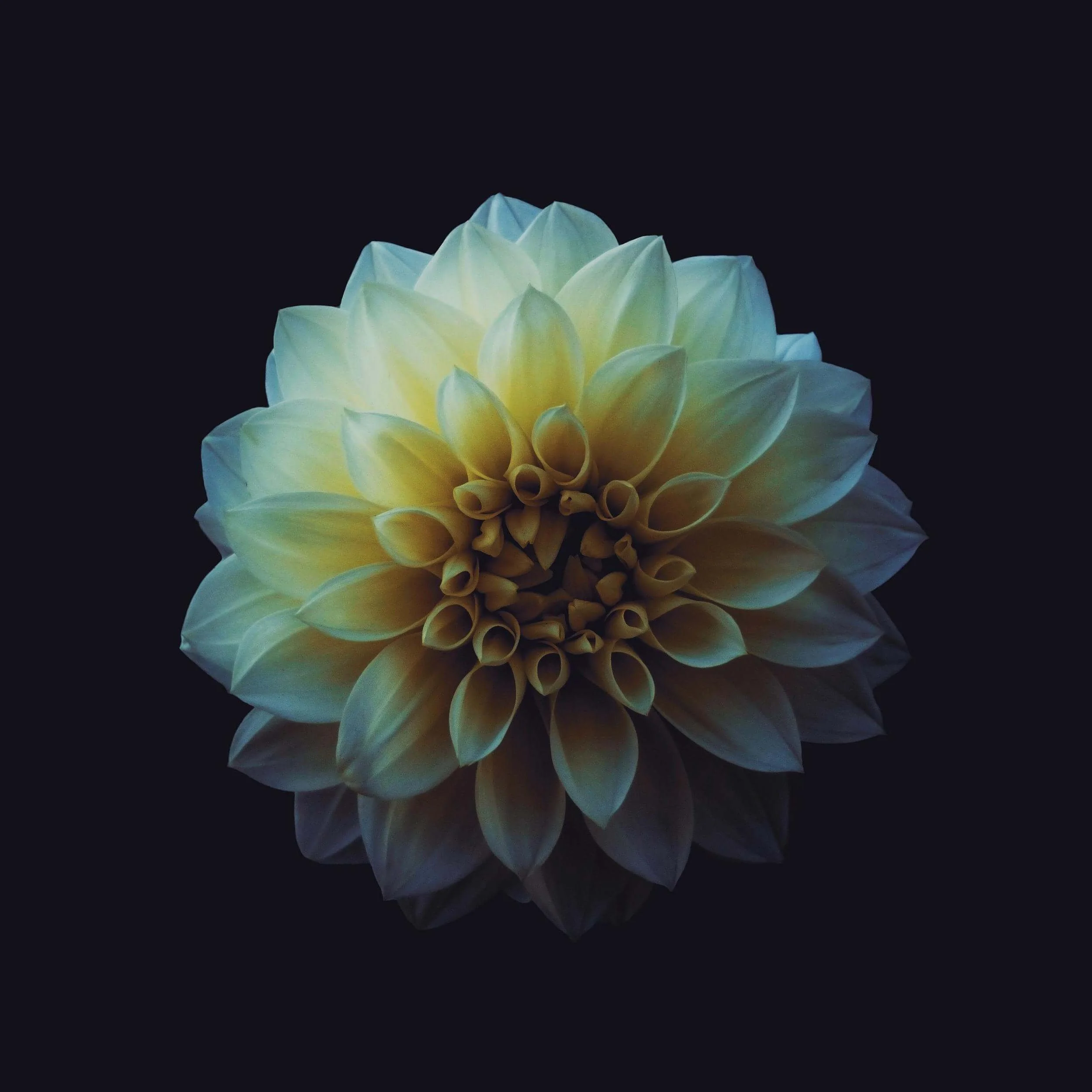 Treasures Hidden in the Dark