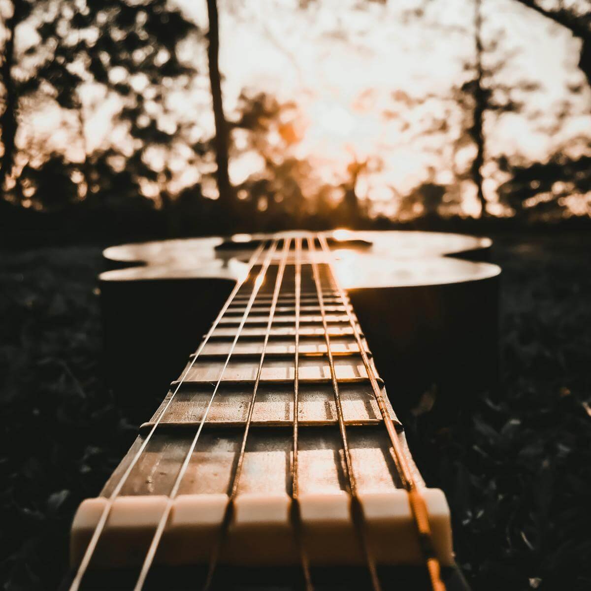 late afternoon sun shining off guitar strings