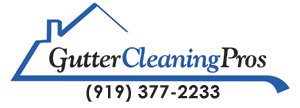 Gutter Cleaning Pros