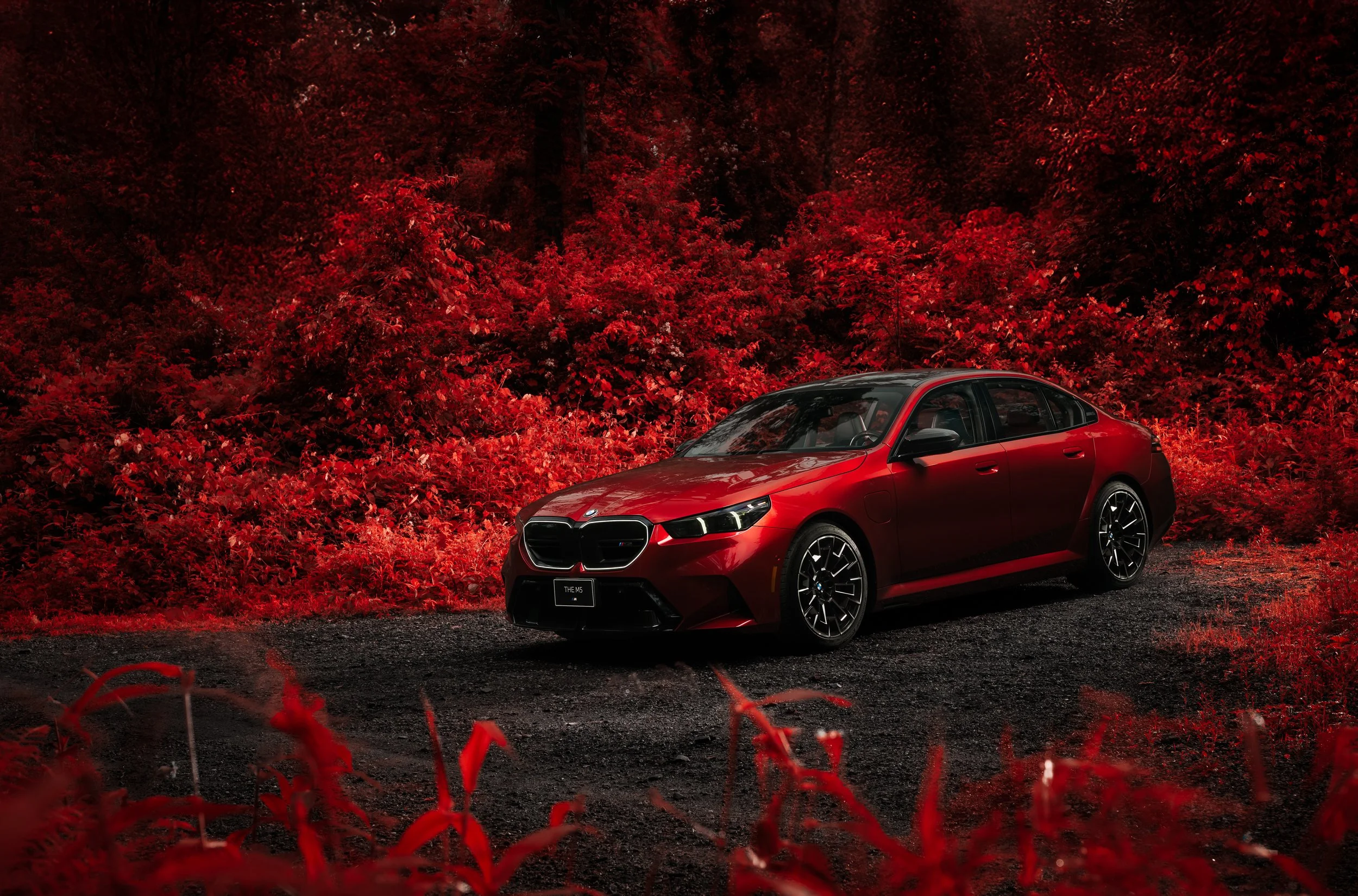 BMW M5