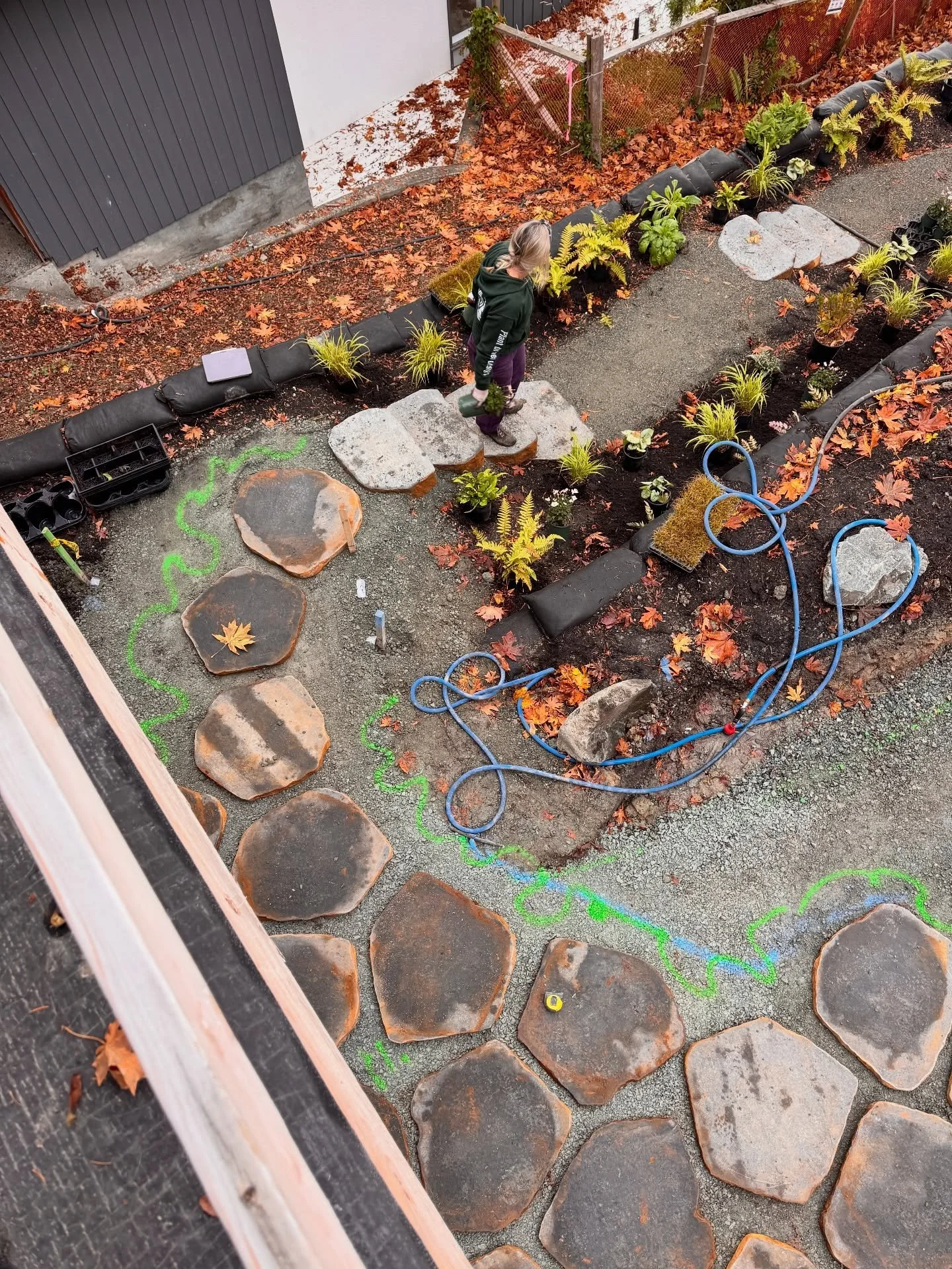 Intentional transitions! Leveraging the natural edge of the beloved Yaletown steppers to lead visitors into the wilds.  Moving now to softening edges and celebrating the lush natural gifts of what was once a forested bluff.  Big thanks to our friends